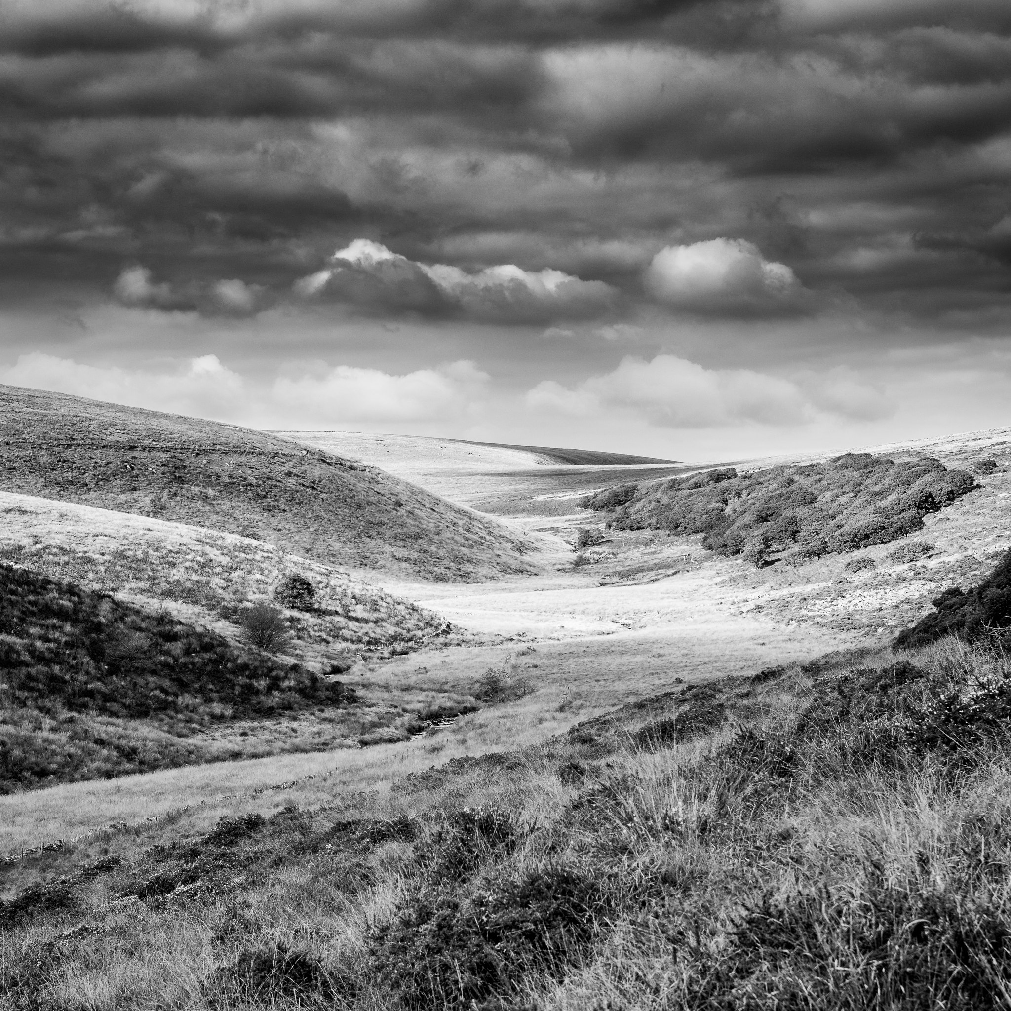 Canon EOS 6D + EF28-70mm f/2.8L USM sample photo. Dartmoor view photography