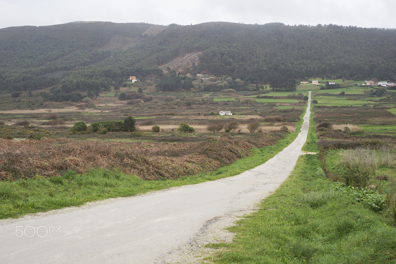 Nikon D610 + AF Nikkor 50mm f/1.8 sample photo. Rural road outdoors photography