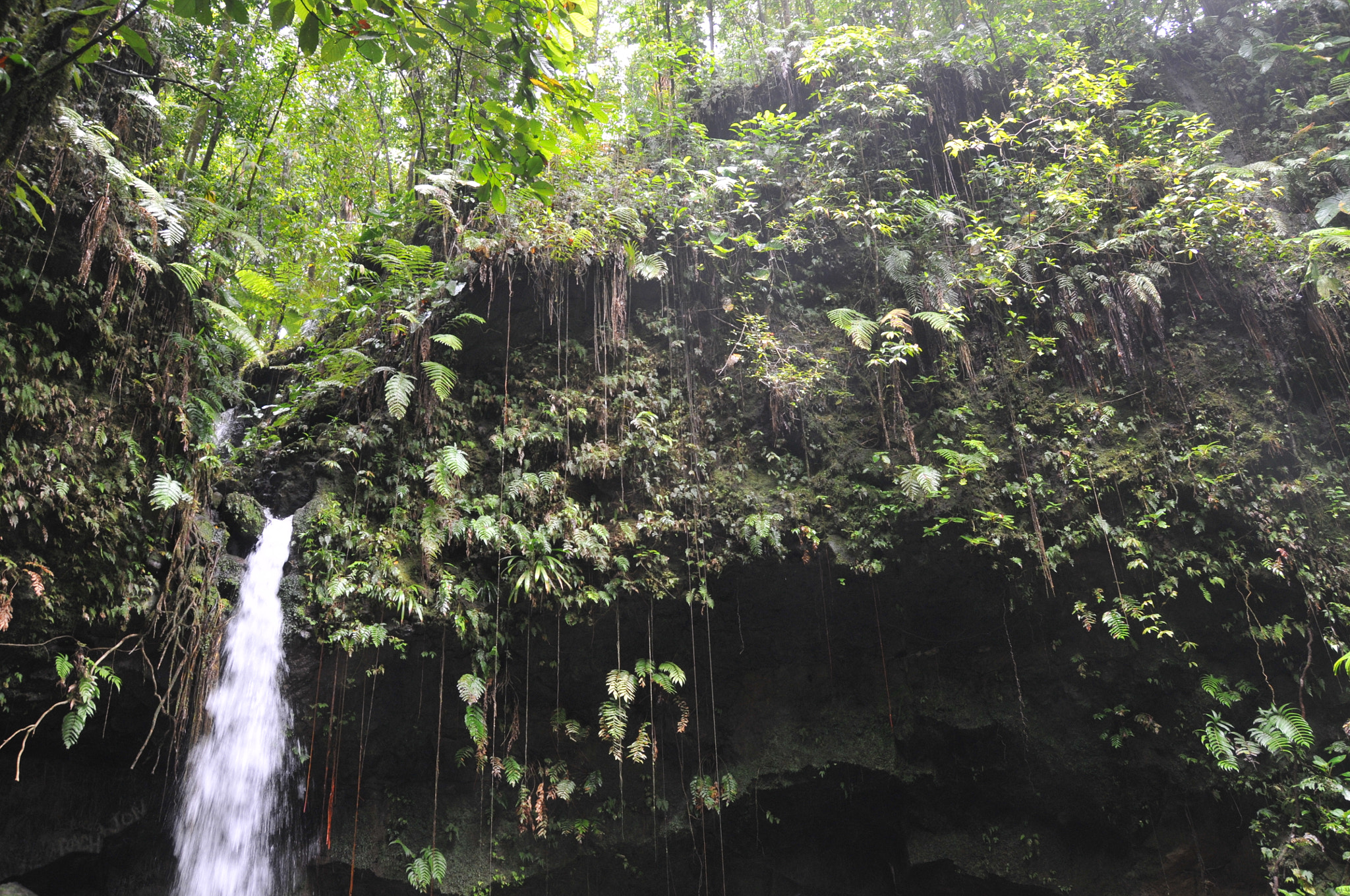 Nikon D300 sample photo. Dominica photography