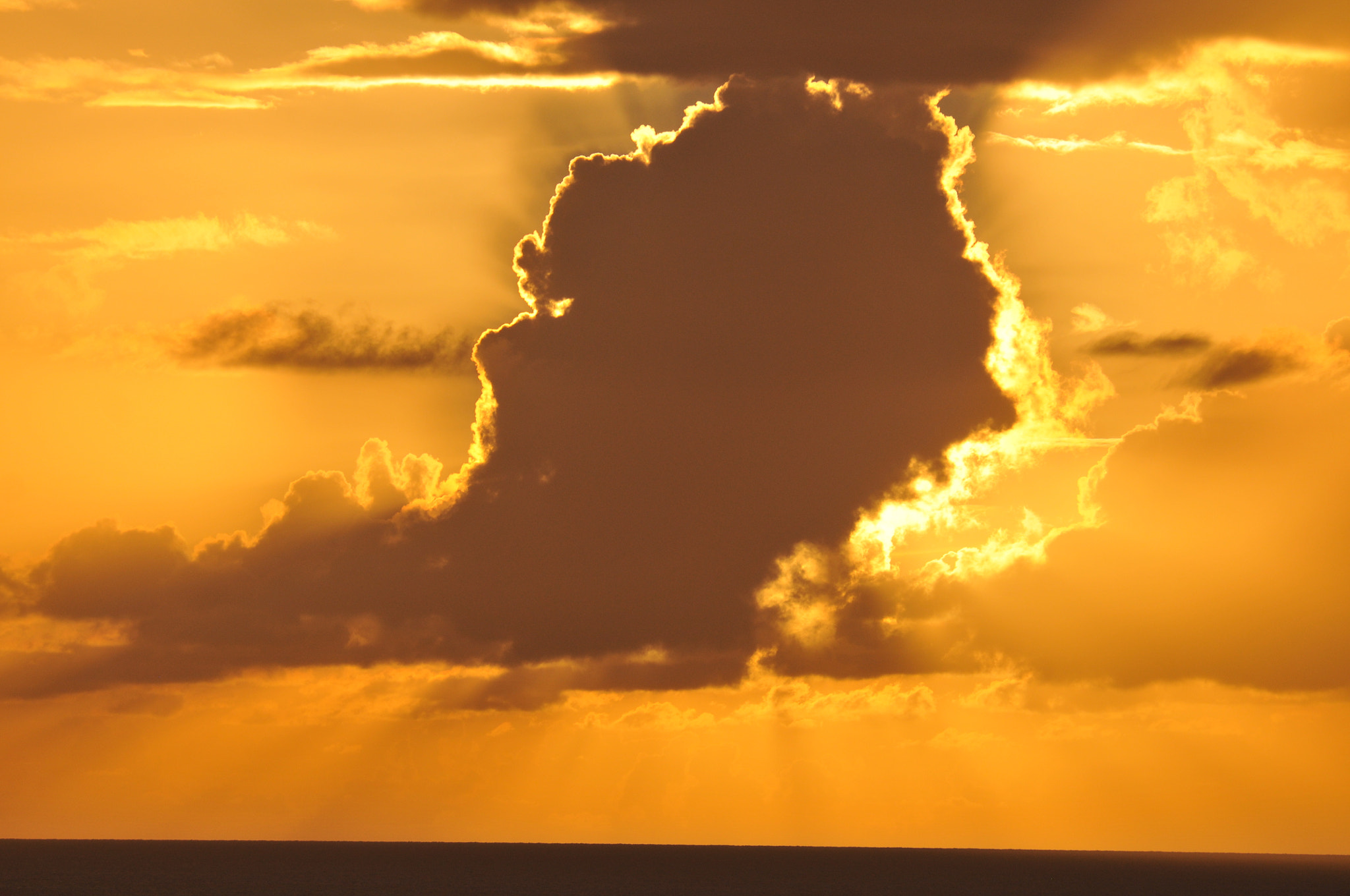 Nikon D300 sample photo. Dominica photography
