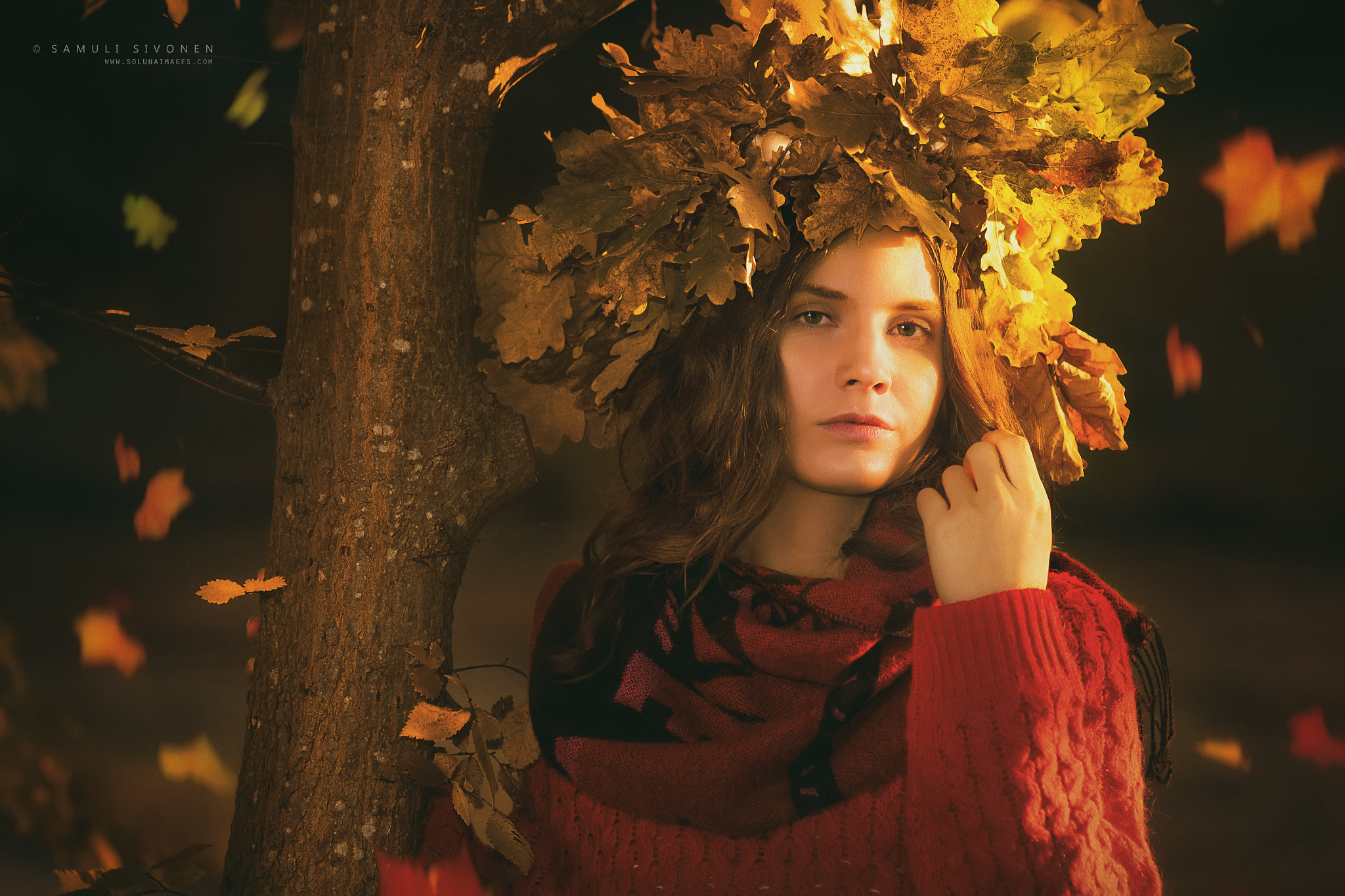 Sigma 85mm F1.4 EX DG HSM sample photo. Autumn's crown photography