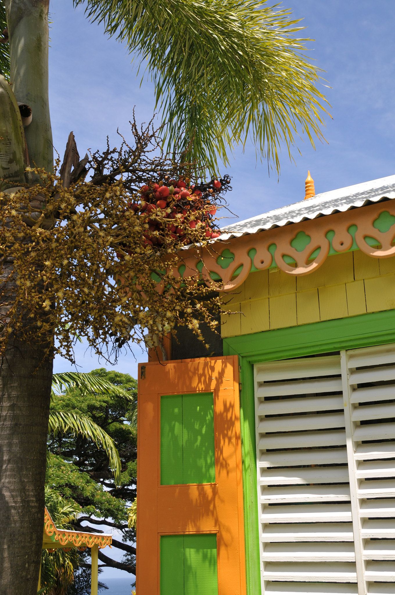 Nikon D300 sample photo. Barbados photography