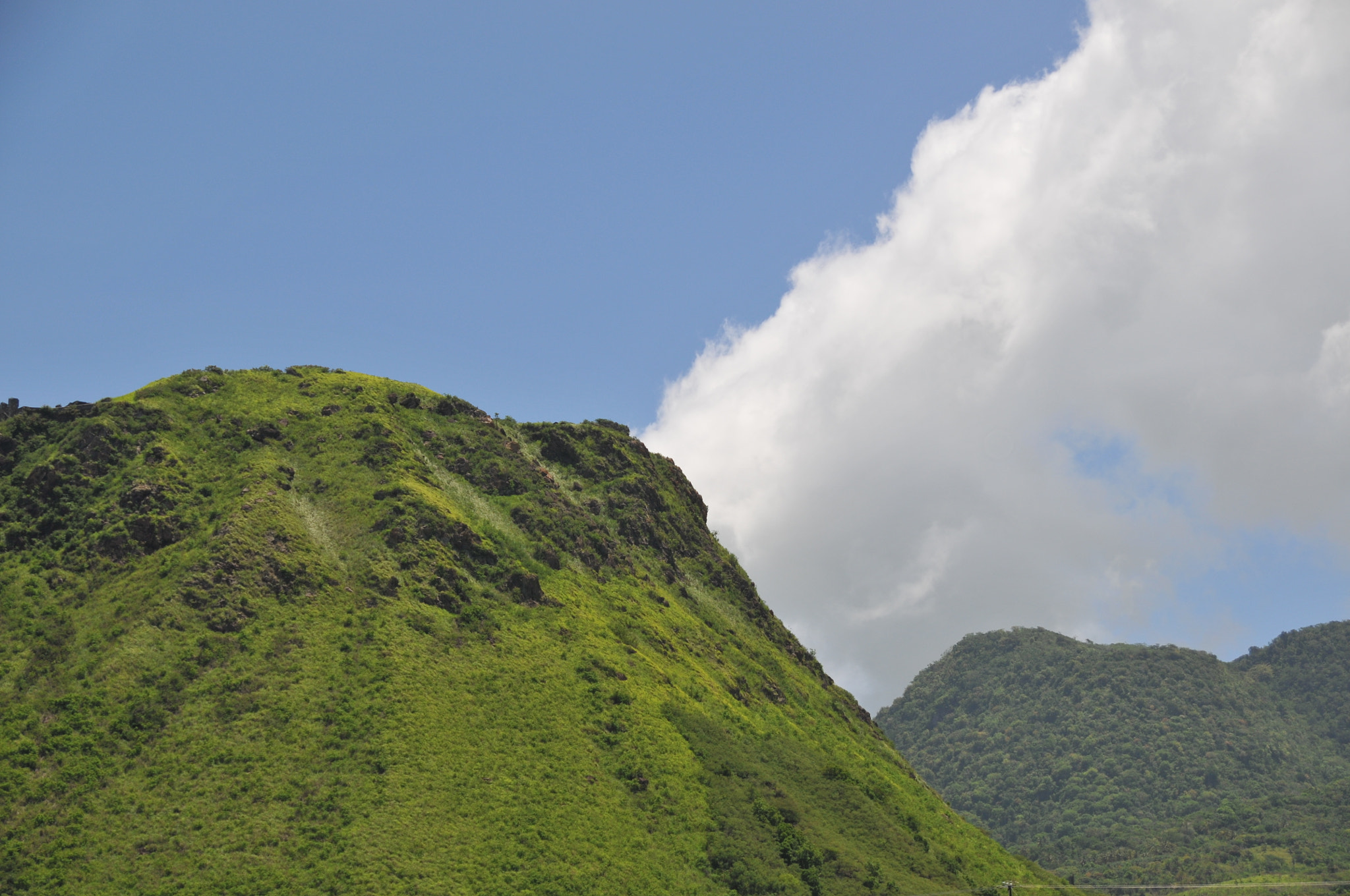Nikon D300 sample photo. St kitts, west indies photography