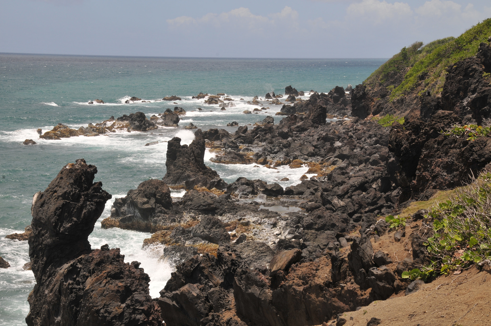 Nikon D300 sample photo. St kitts, west indies photography