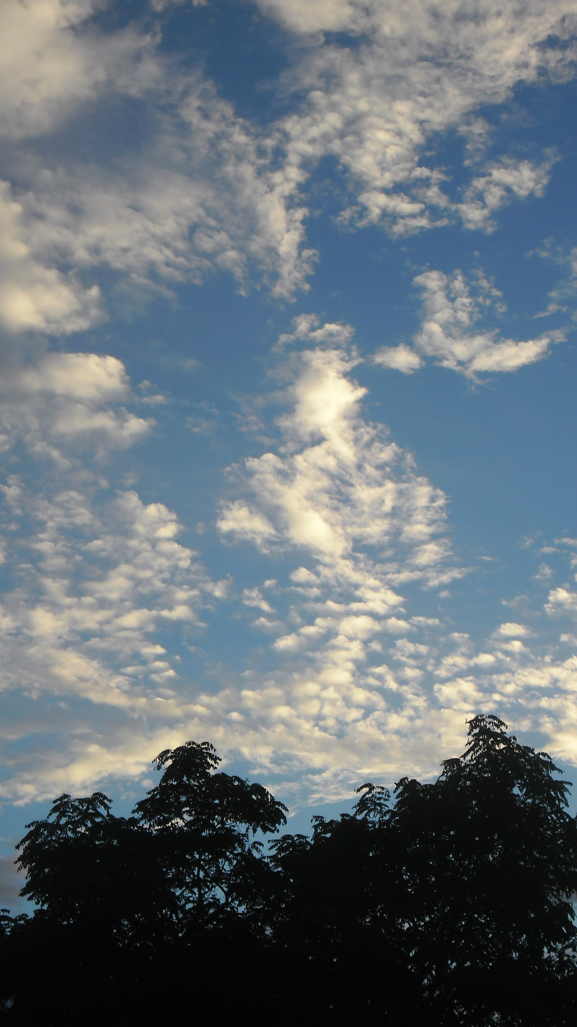 Samsung ES80/ ES81 sample photo. Sky ii photography