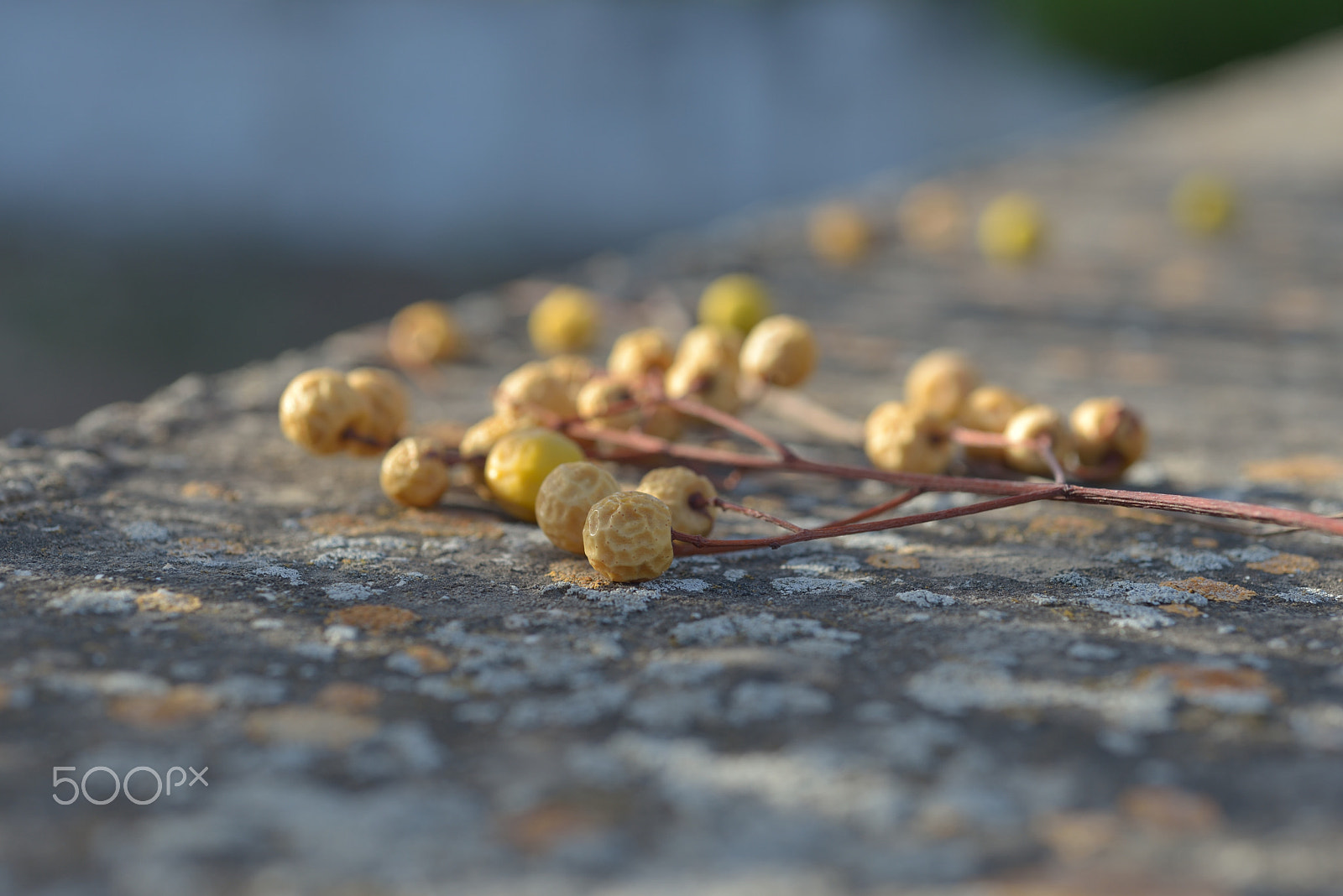 Nikon D610 + Nikon AF Micro-Nikkor 60mm F2.8D sample photo. Minimalistic photography