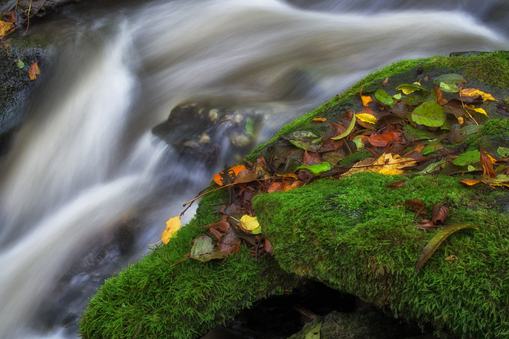 Olympus OM-D E-M5 + Olympus M.Zuiko Digital 25mm F1.8 sample photo. The autumn stream photography