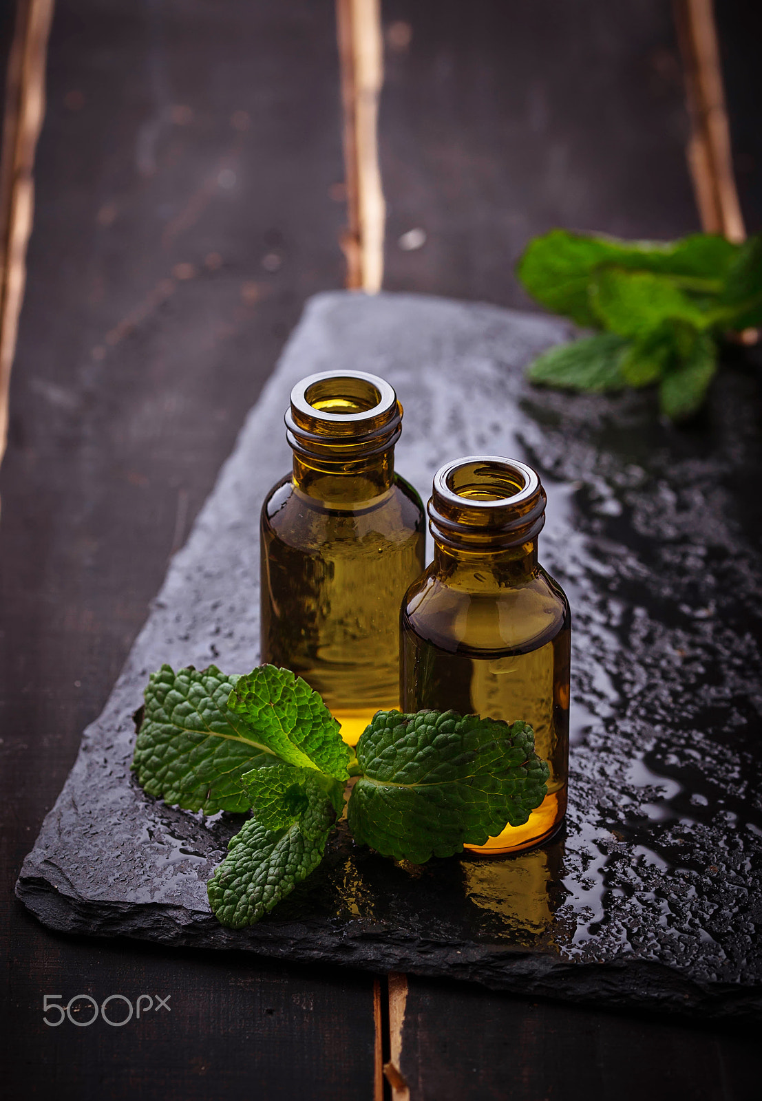 Sigma 105mm F2.8 EX DG OS HSM sample photo. Mint oil in small bottles and fresh mint photography