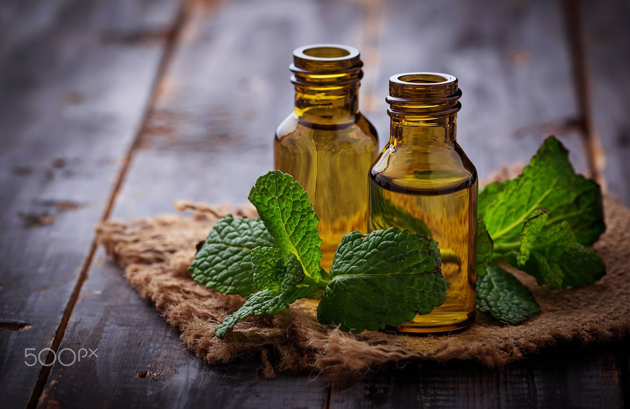 Mint oil in small bottles and fresh mint