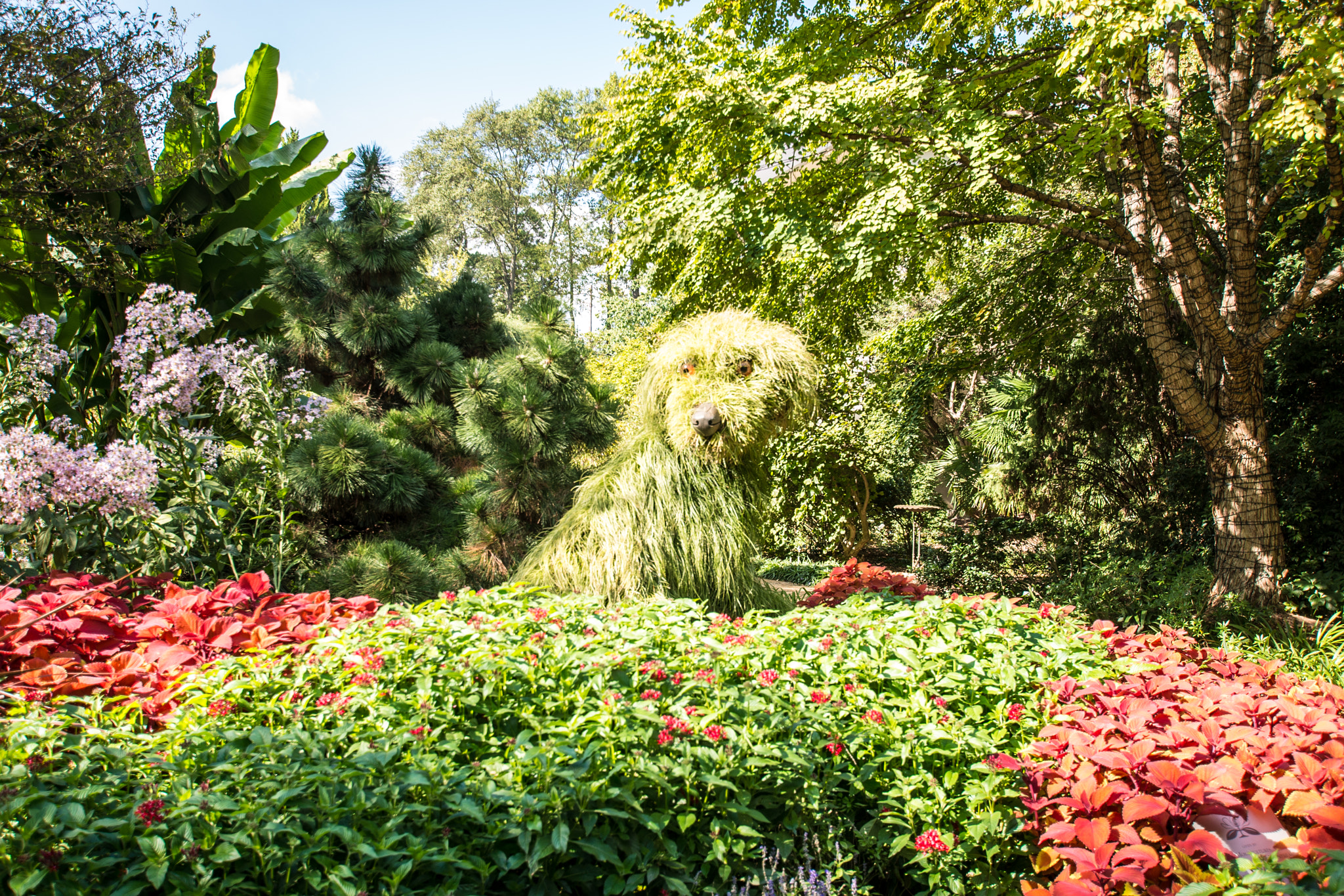 Nikon D610 + Sigma 10-20mm F3.5 EX DC HSM sample photo. The dog photography