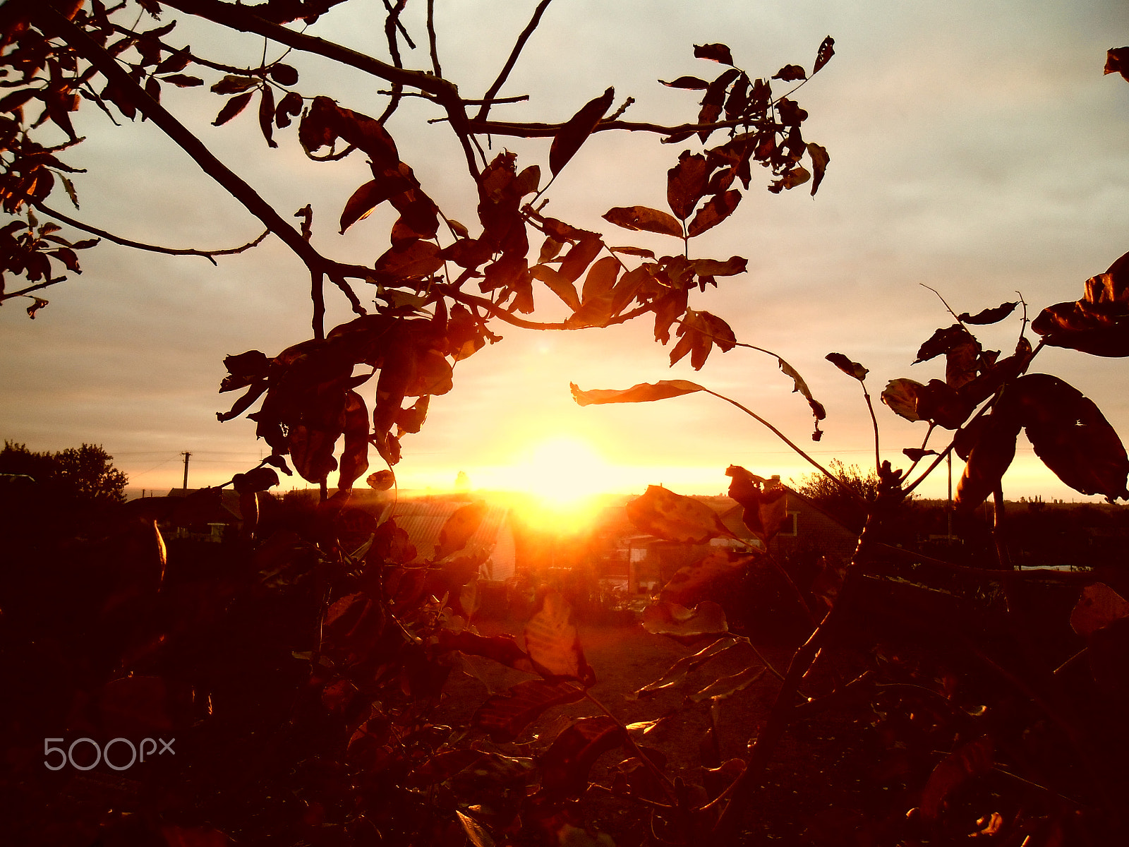 Samsung ES90/ ES91 sample photo. "sunset"... photography