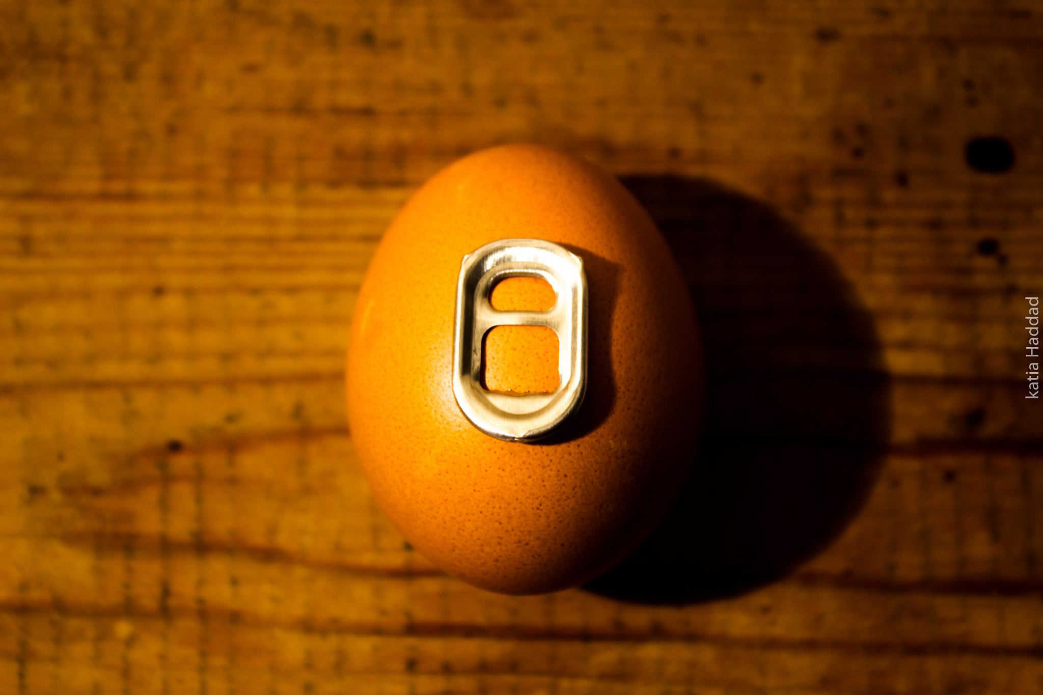 Canon EF-S 18-55mm F3.5-5.6 IS sample photo. Egg of the future photography