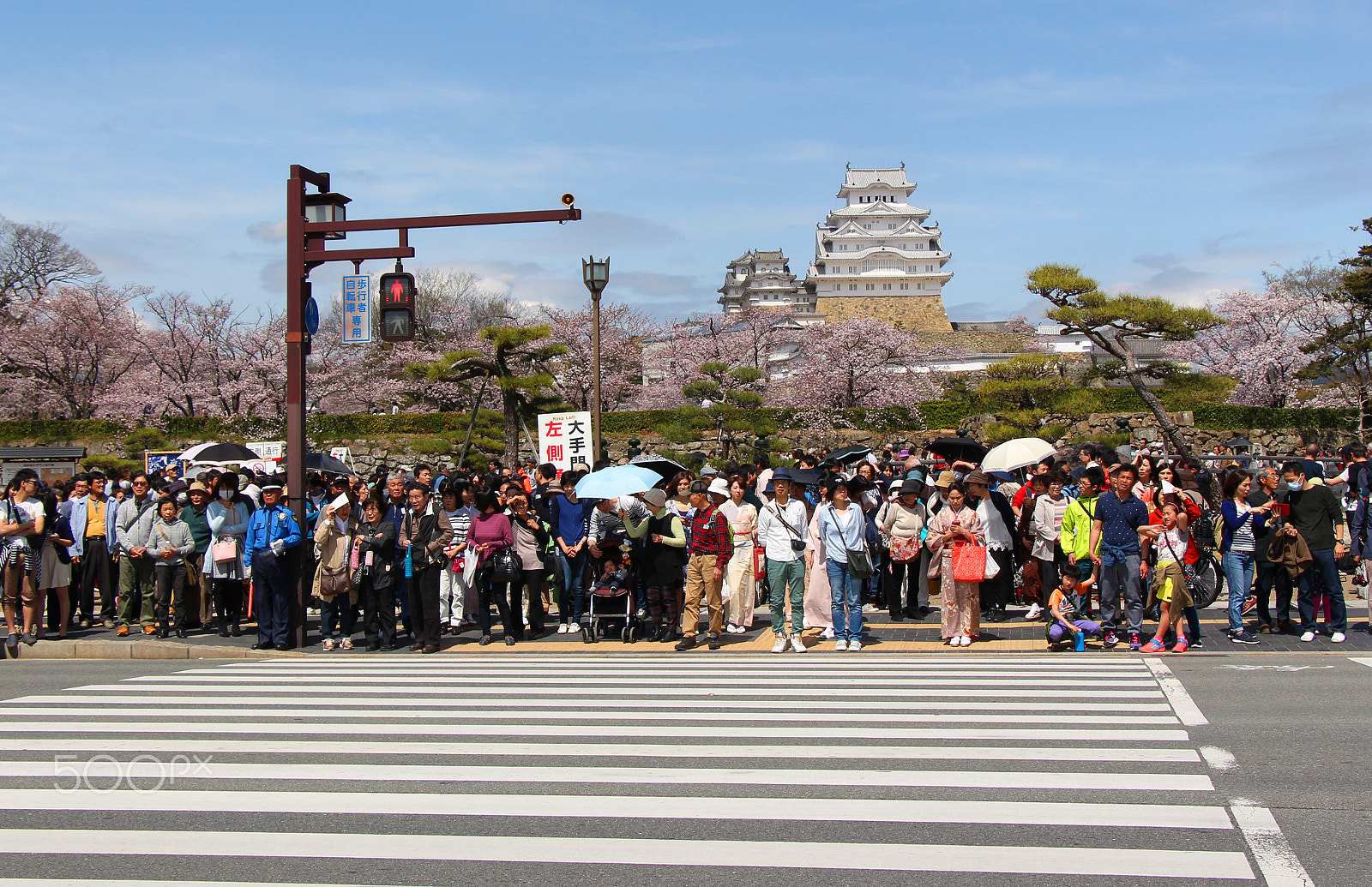 Canon EOS 650D (EOS Rebel T4i / EOS Kiss X6i) sample photo. Celebrating spring photography