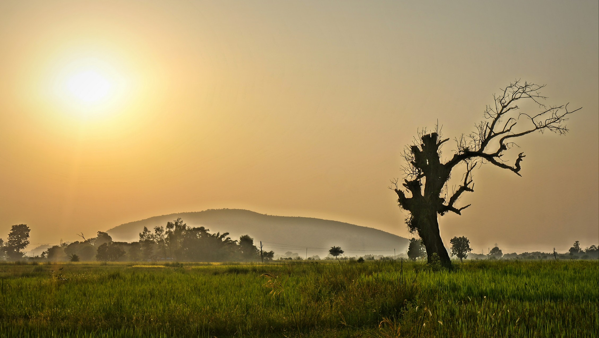 Sony Alpha NEX-6 + Sony E 18-50mm F4-5.6 sample photo. Sunset, eastern india photography