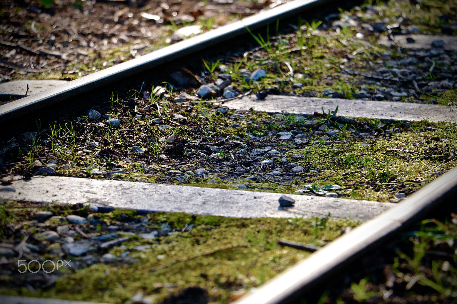 Canon EOS 760D (EOS Rebel T6s / EOS 8000D) + Canon EF-S 18-135mm F3.5-5.6 IS STM sample photo. Rail au parc de la tête d'or à lyon, france photography