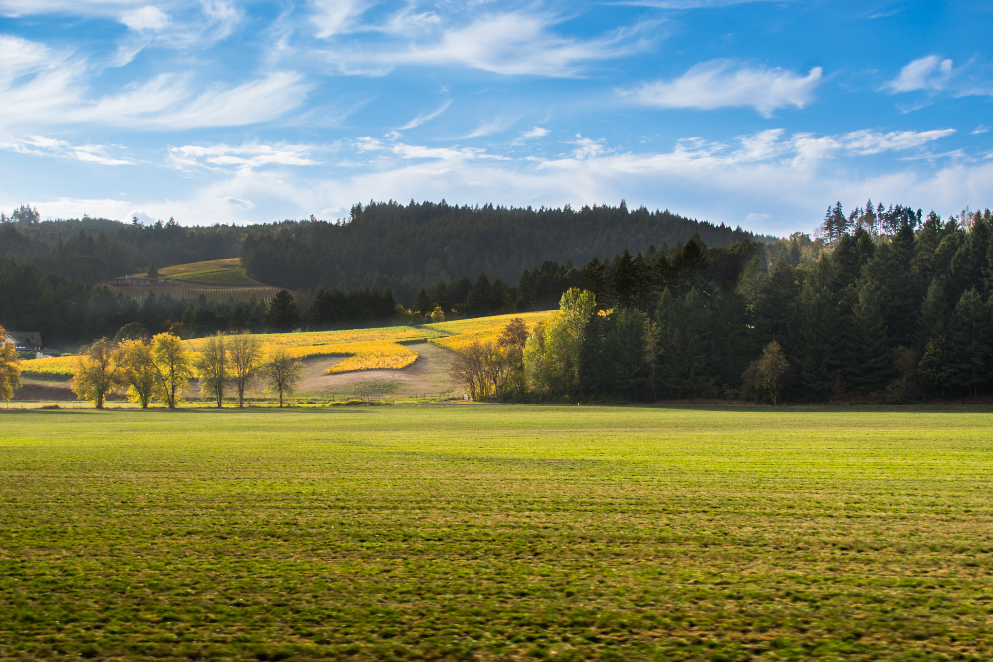 Sony ILCA-77M2 + Tamron AF 28-105mm F4-5.6 [IF] sample photo. Dsc photography