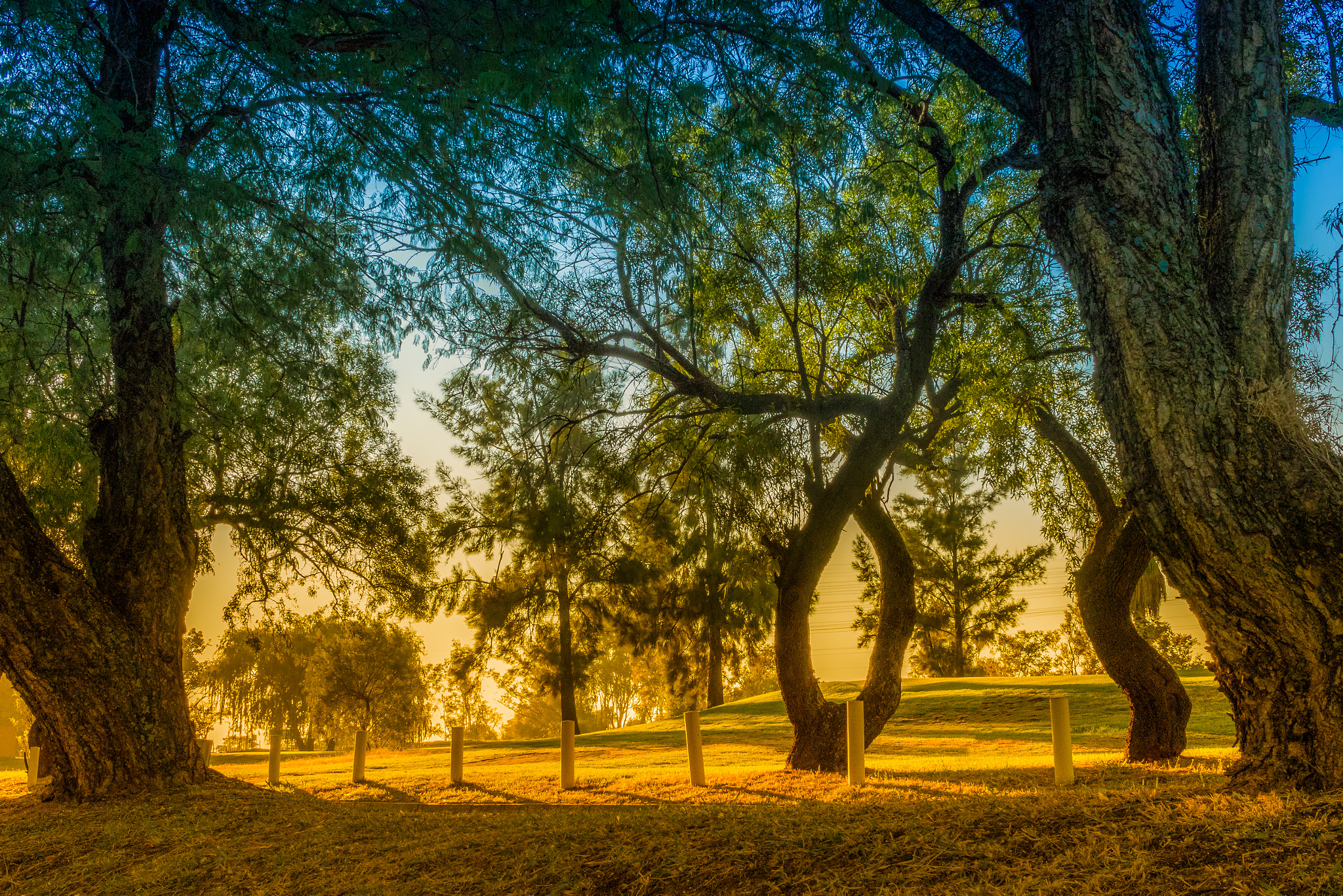 Canon EF-S 24mm F2.8 STM sample photo. Peaceful morning photography