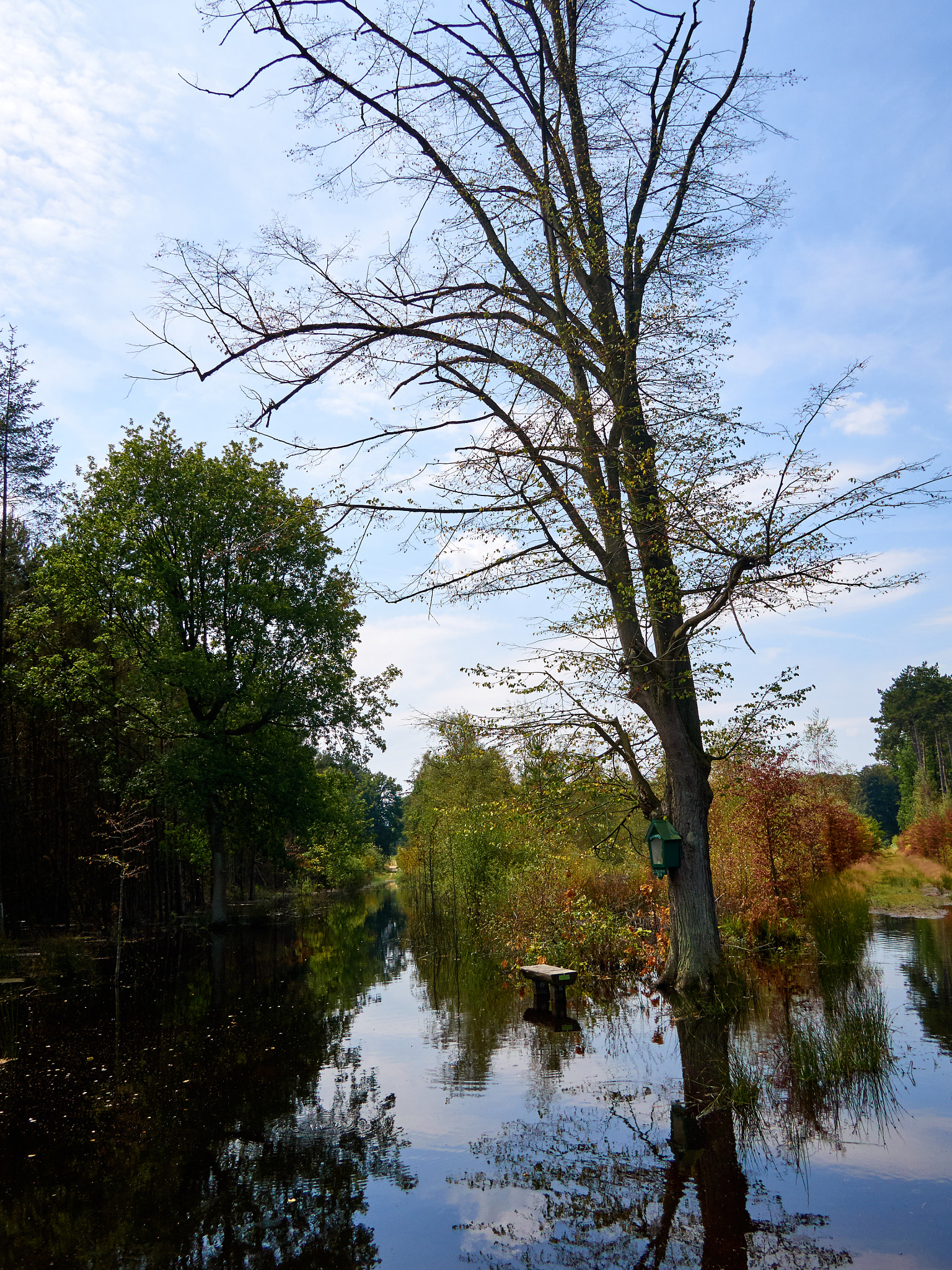 Olympus OM-D E-M5 + Panasonic Lumix G 14mm F2.5 ASPH sample photo. Flooded bench photography
