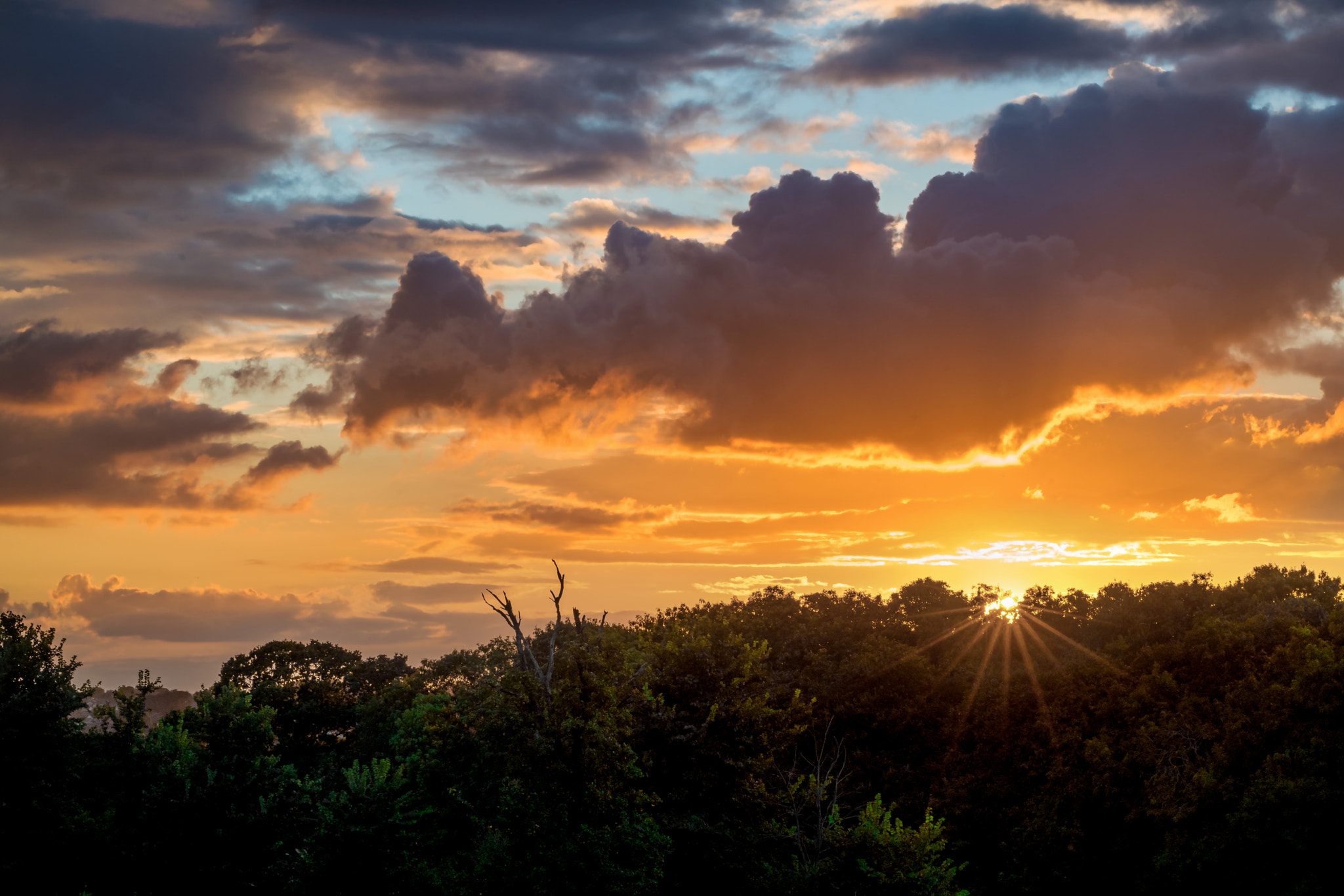 Canon EF 100mm F2.8L Macro IS USM sample photo. Frampton cotterell sunset photography
