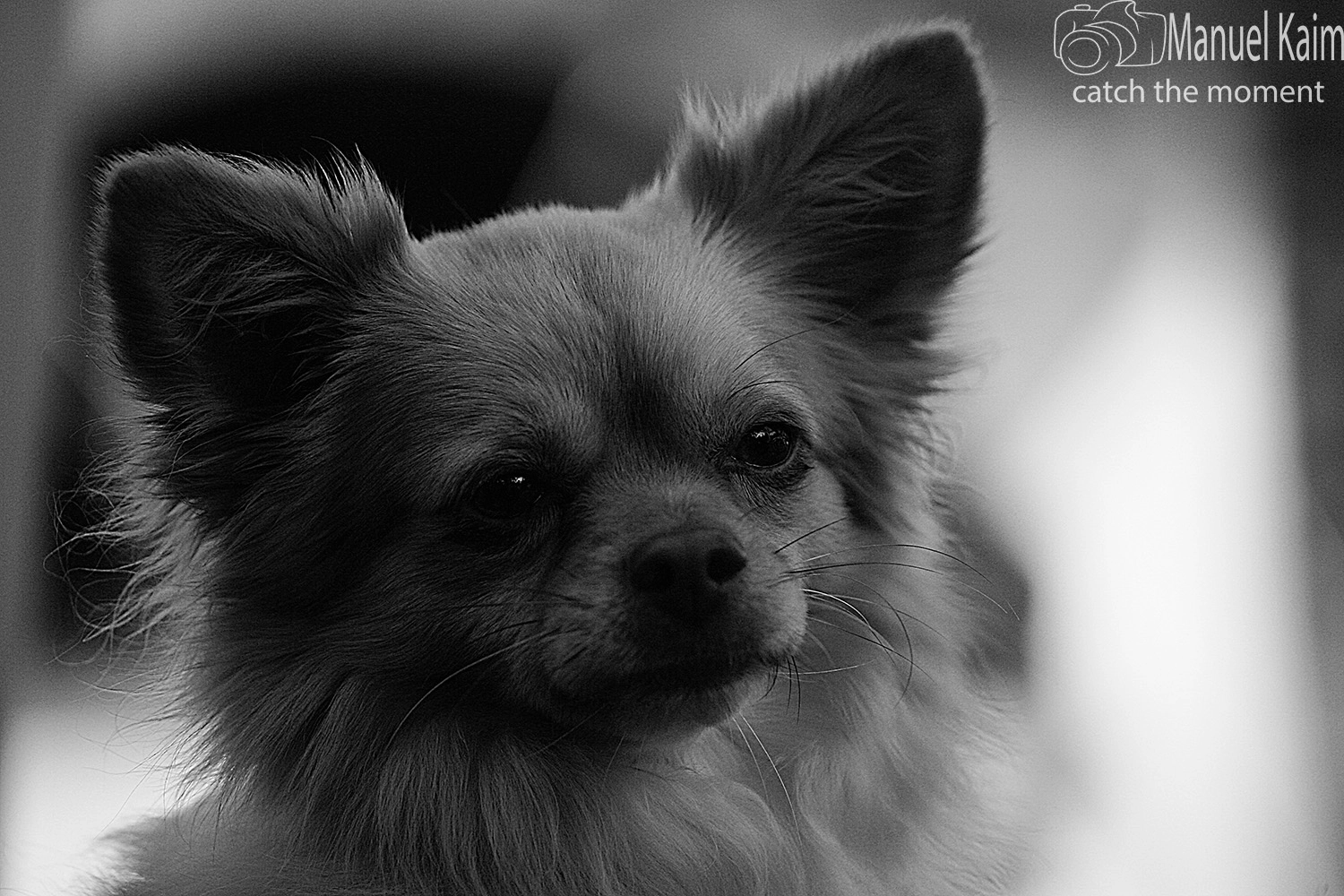 Canon EOS-1D Mark II sample photo. Web photography