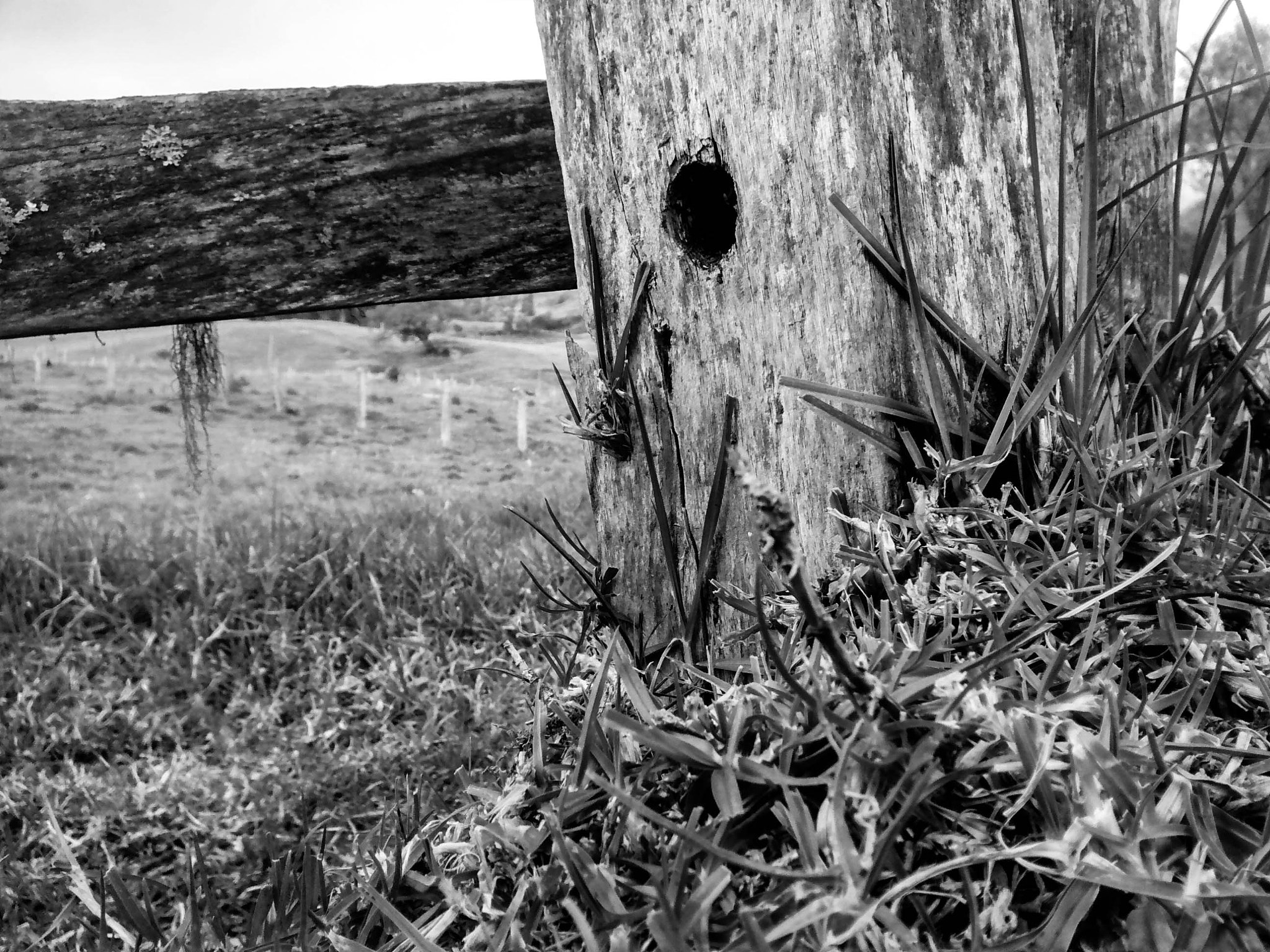 Motorola Moto G with 4G LTE (1st Gen) sample photo. Black and white fence photography