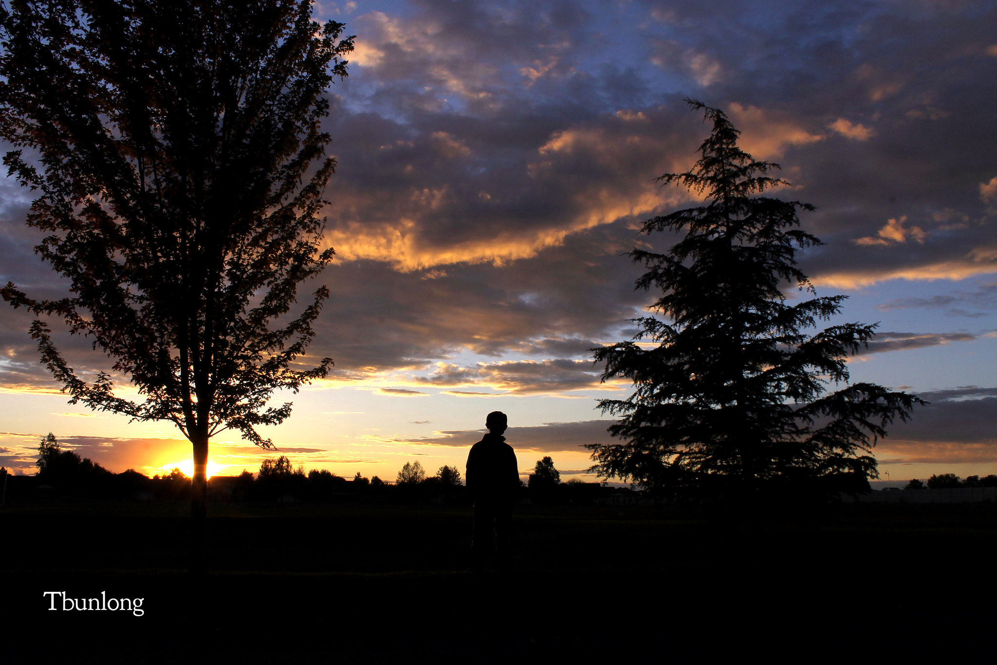 Canon EF-S 18-55mm F3.5-5.6 IS II sample photo. Silhouette ! photography