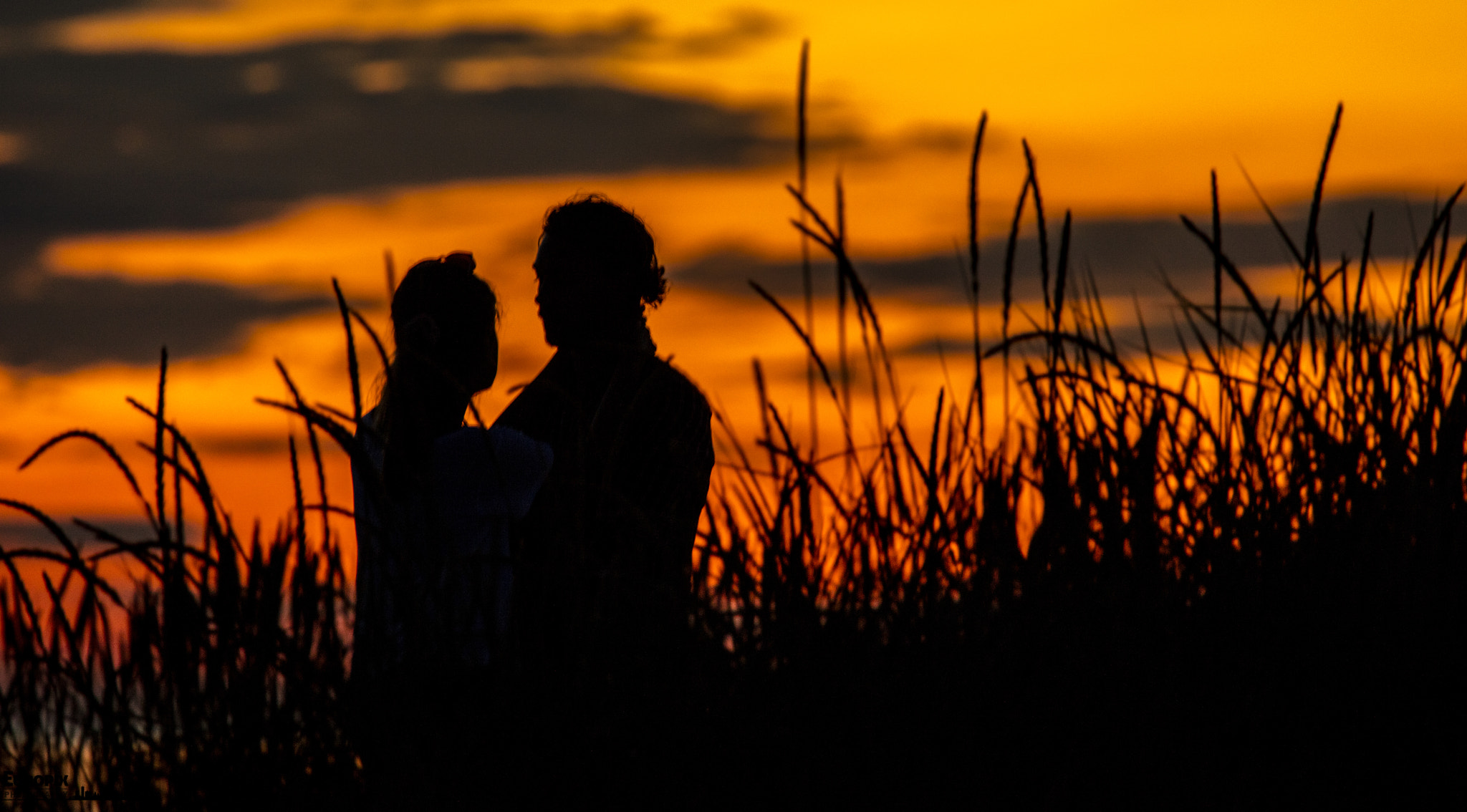Canon EOS 5DS sample photo. It's love - sunset couple photography