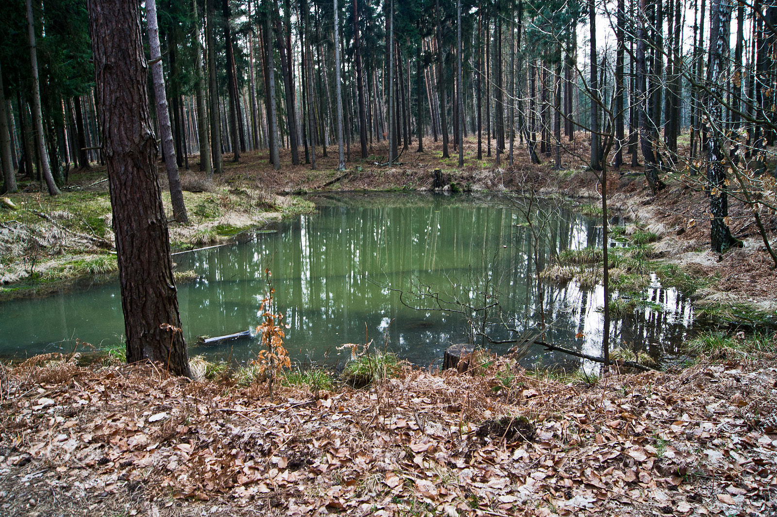 Sony Alpha DSLR-A500 + Sony DT 18-55mm F3.5-5.6 SAM sample photo. Teich bei wörpen photography
