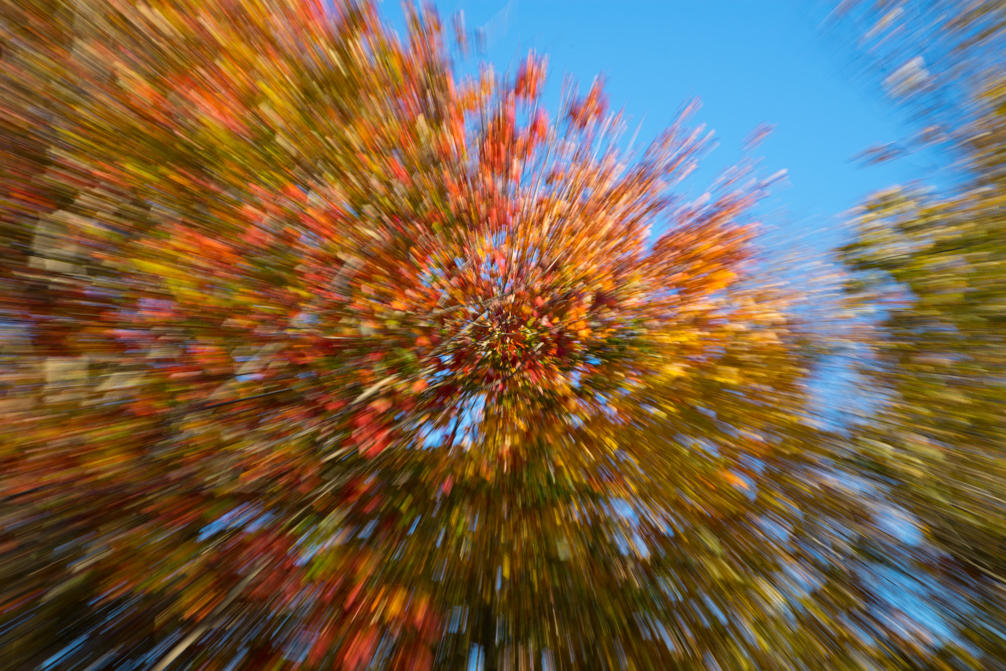 Sony a7R + Canon EF 24-105mm F4L IS USM sample photo. Autumn zoom burst photography