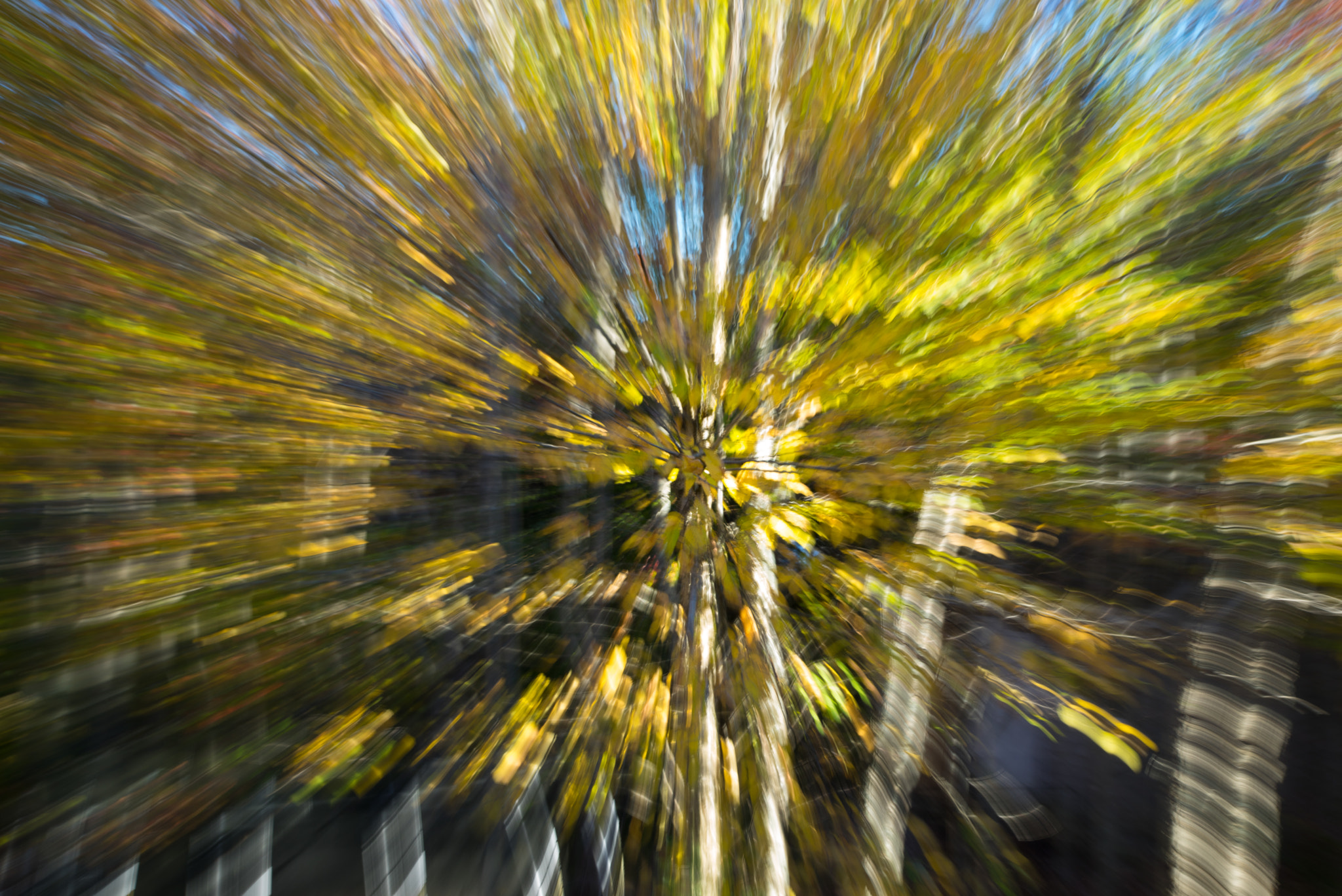 Sony a7R + Canon EF 24-105mm F4L IS USM sample photo. Autumn zoom burst photography