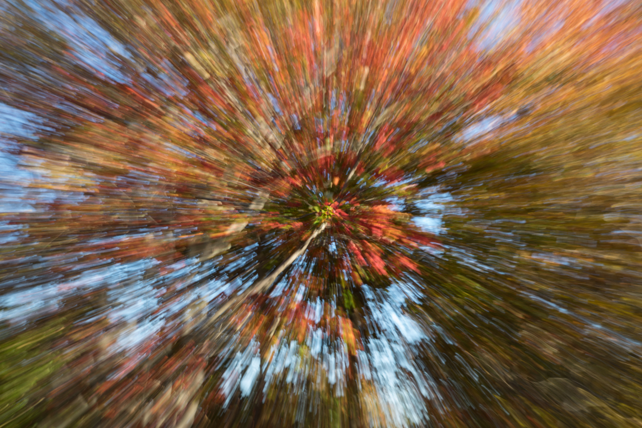 Sony a7R + Canon EF 24-105mm F4L IS USM sample photo. Autumn zoom burst photography