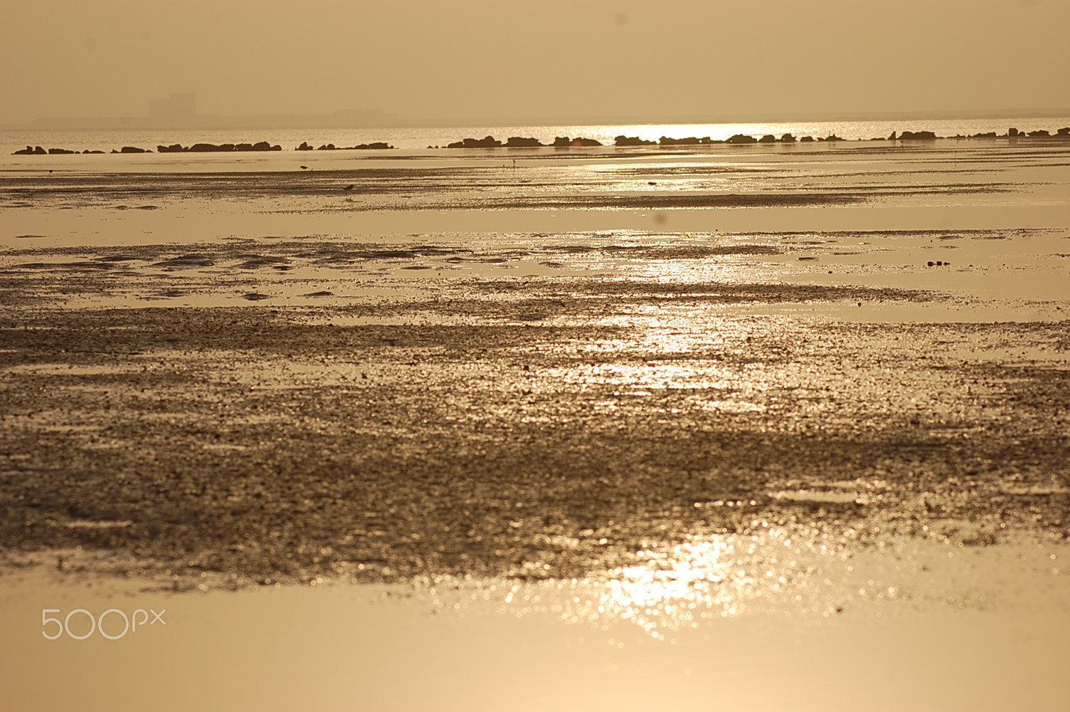 Nikon AF Nikkor 70-300mm F4-5.6G sample photo. Golden hour to shoot.. photography
