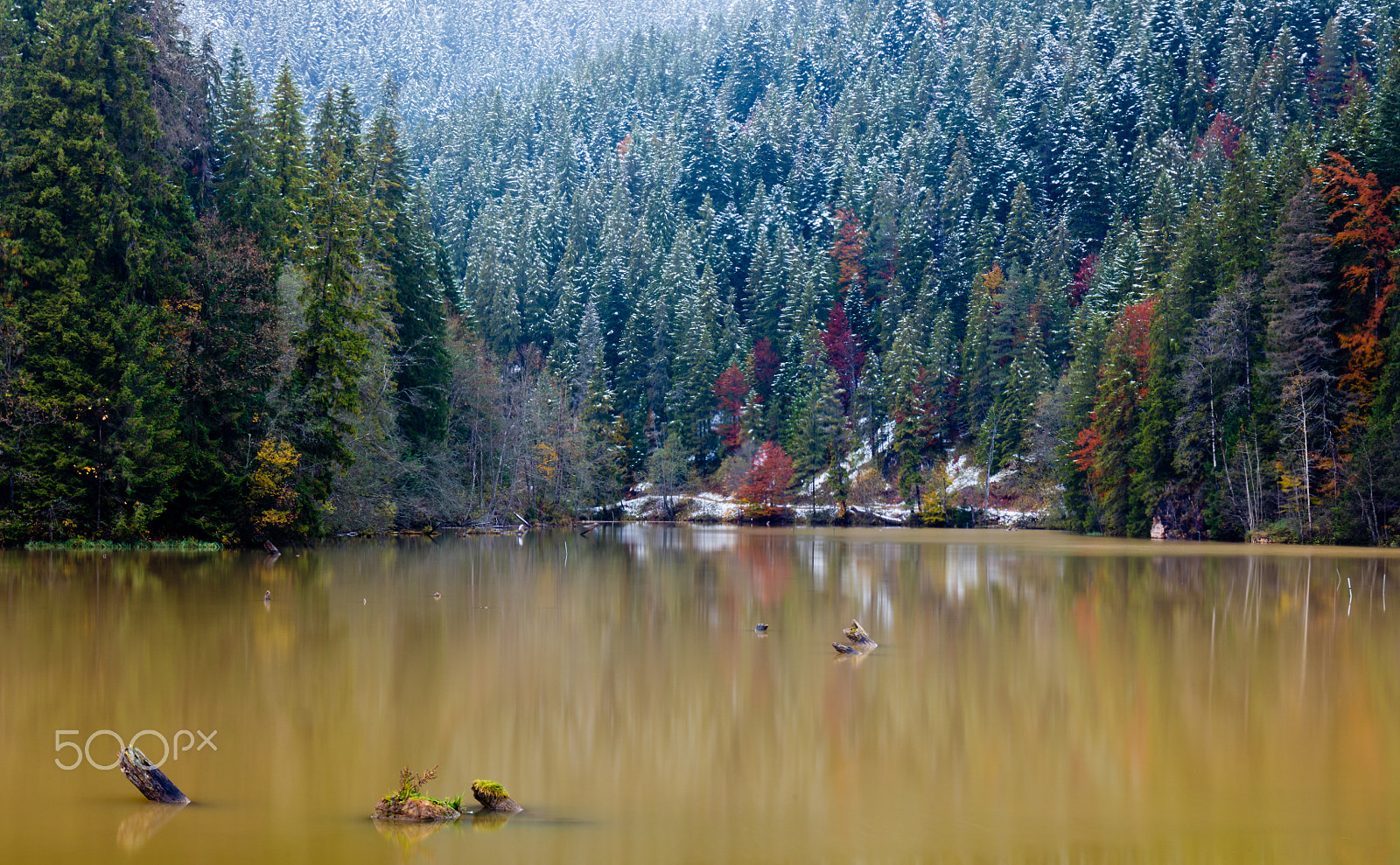 Canon EF 24-70mm F4L IS USM sample photo. Autumn colors on red lake photography