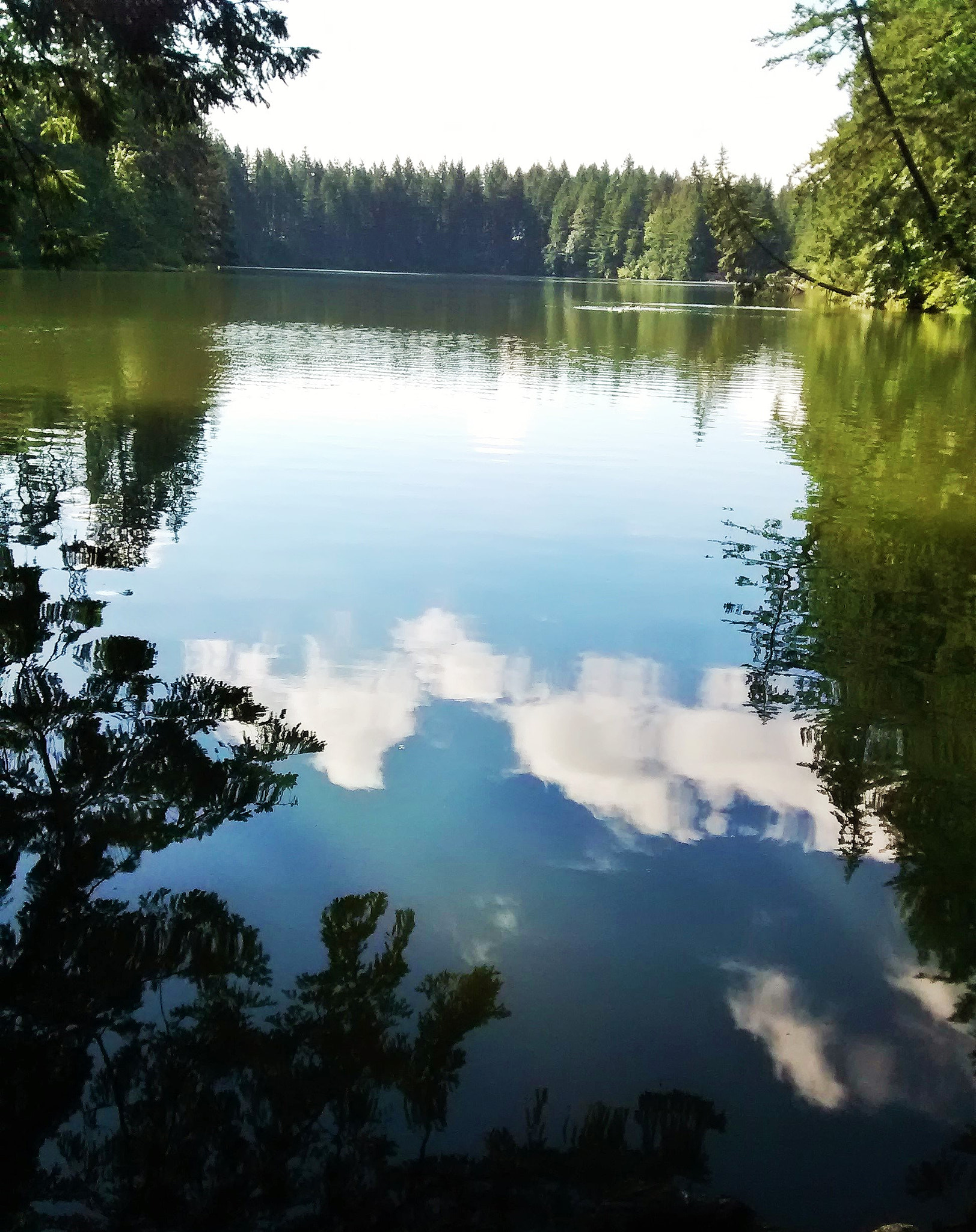 Motorola Moto E (1st Gen) sample photo. () photography