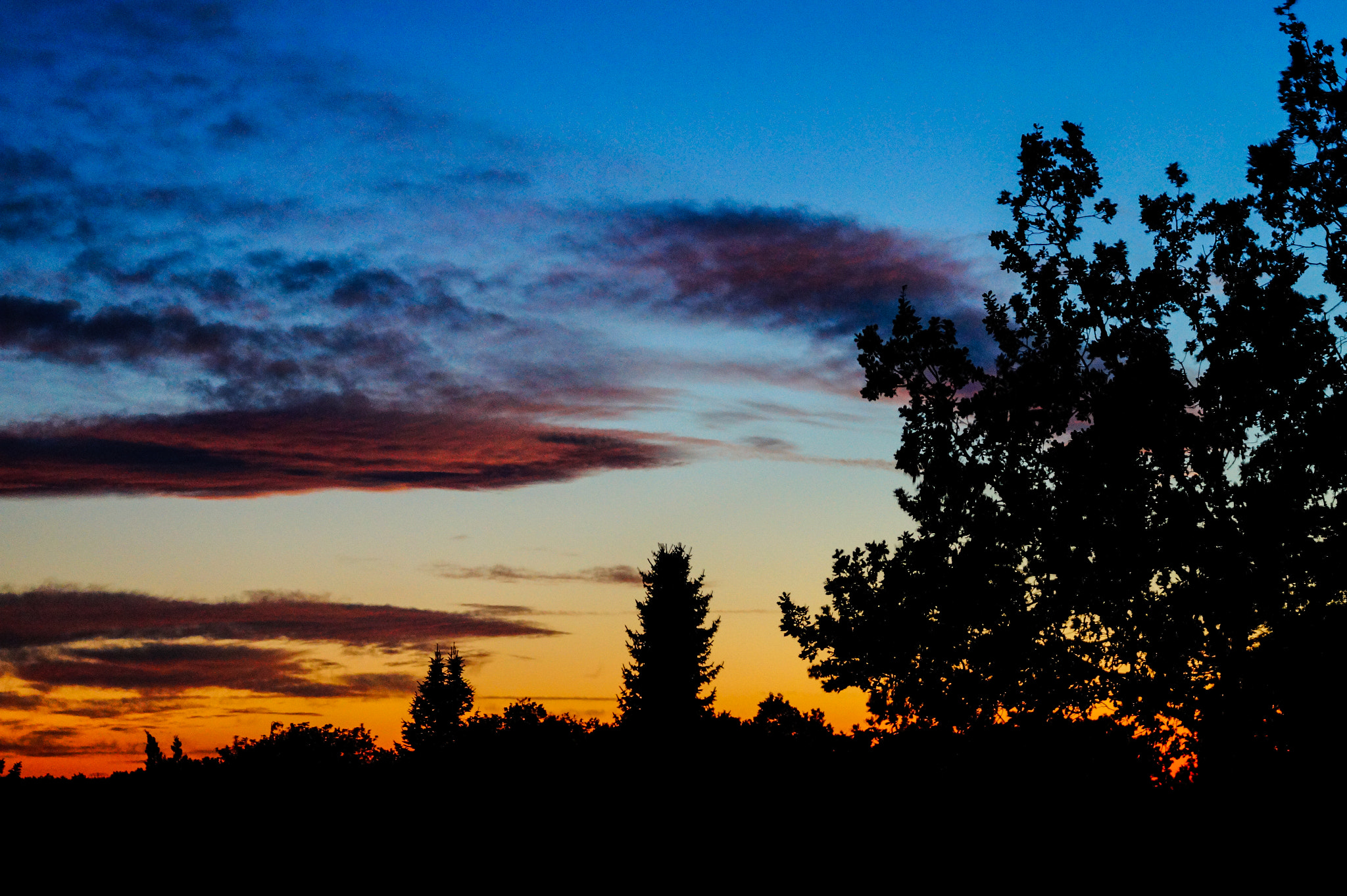 Tamron SP 70-300mm F4-5.6 Di USD sample photo. Magic sunset photography