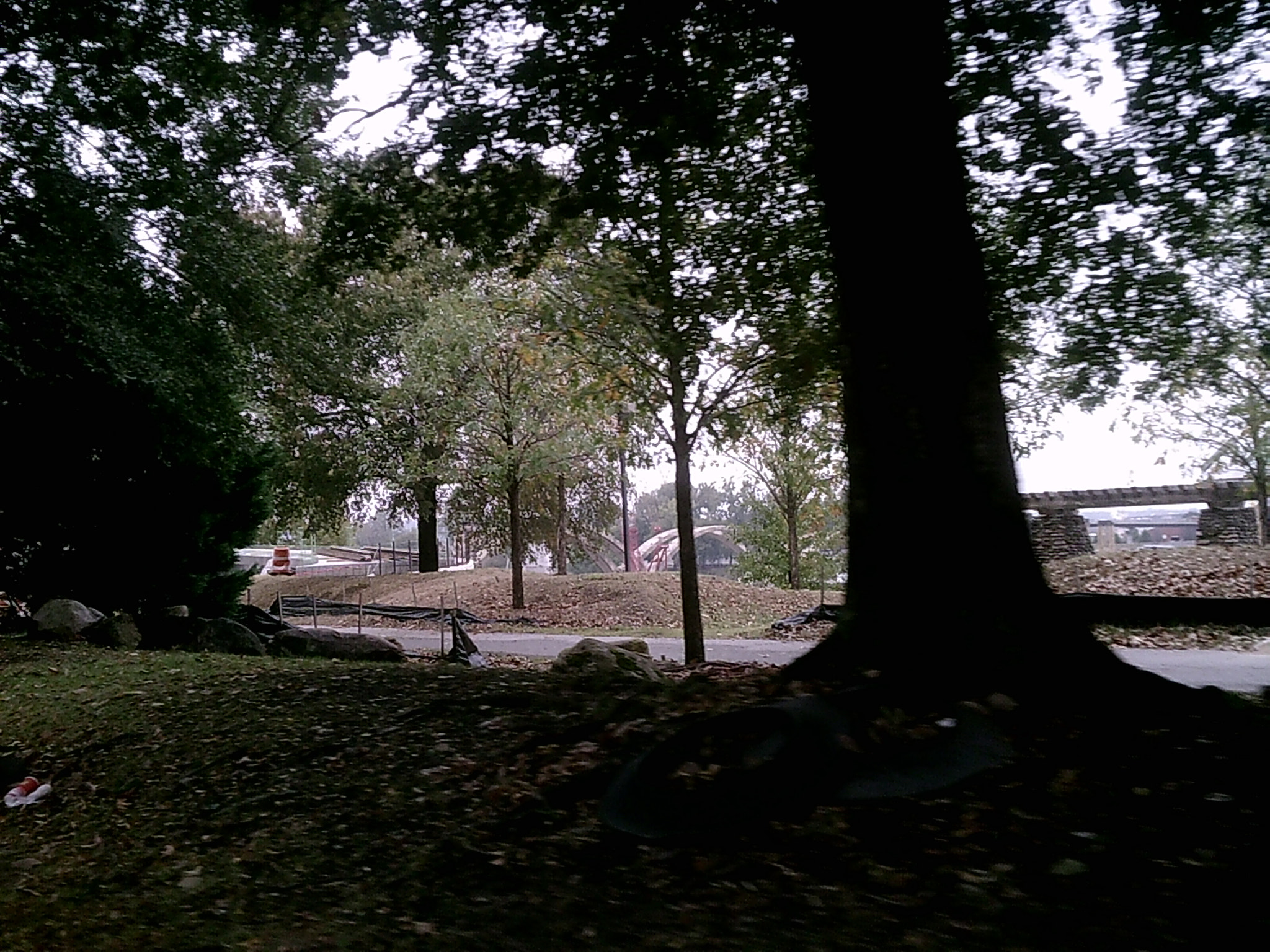 Icatch Spca1628 sample photo. Urban forest photography