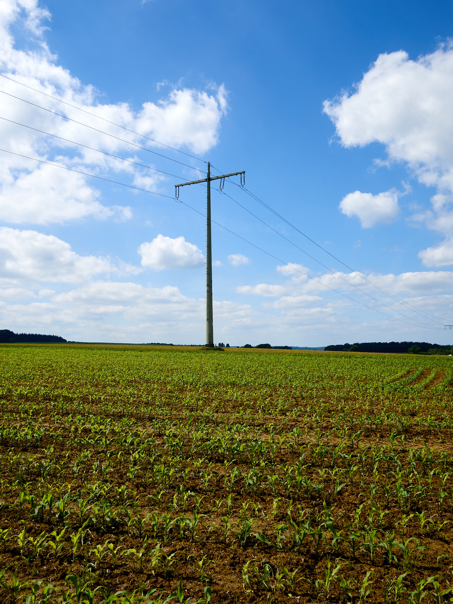 Olympus OM-D E-M5 + Panasonic Lumix G 14mm F2.5 ASPH sample photo. Electric cross photography