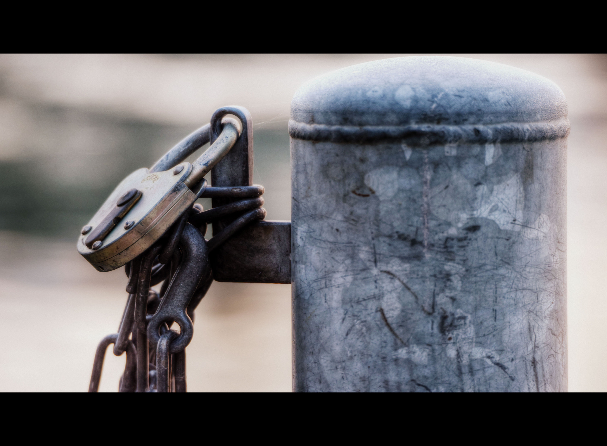 Sigma 50-500mm F4.5-6.3 DG OS HSM sample photo. Gut gesichert photography
