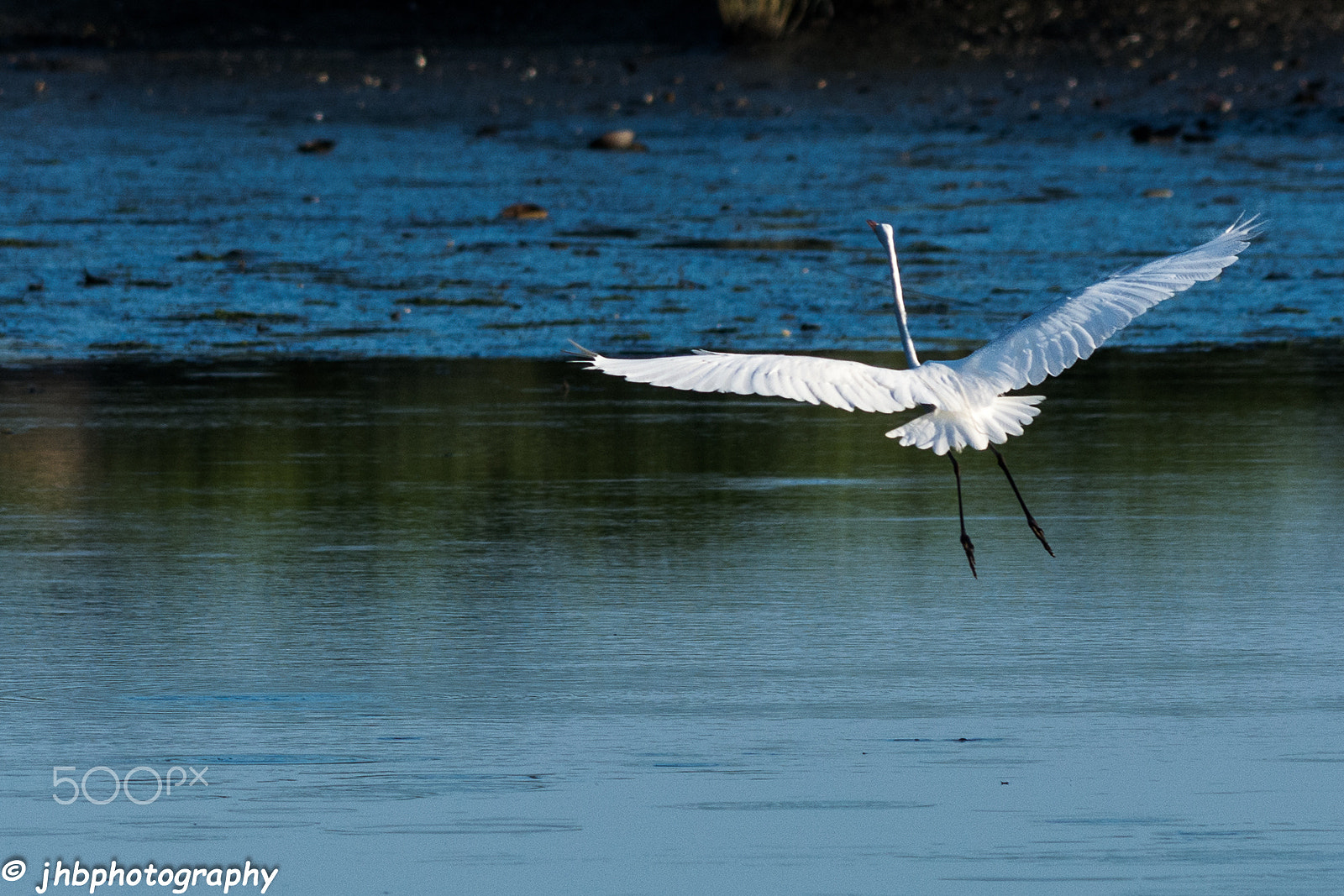 Nikon AF-S Nikkor 200-500mm F5.6E ED VR sample photo. Taking off photography