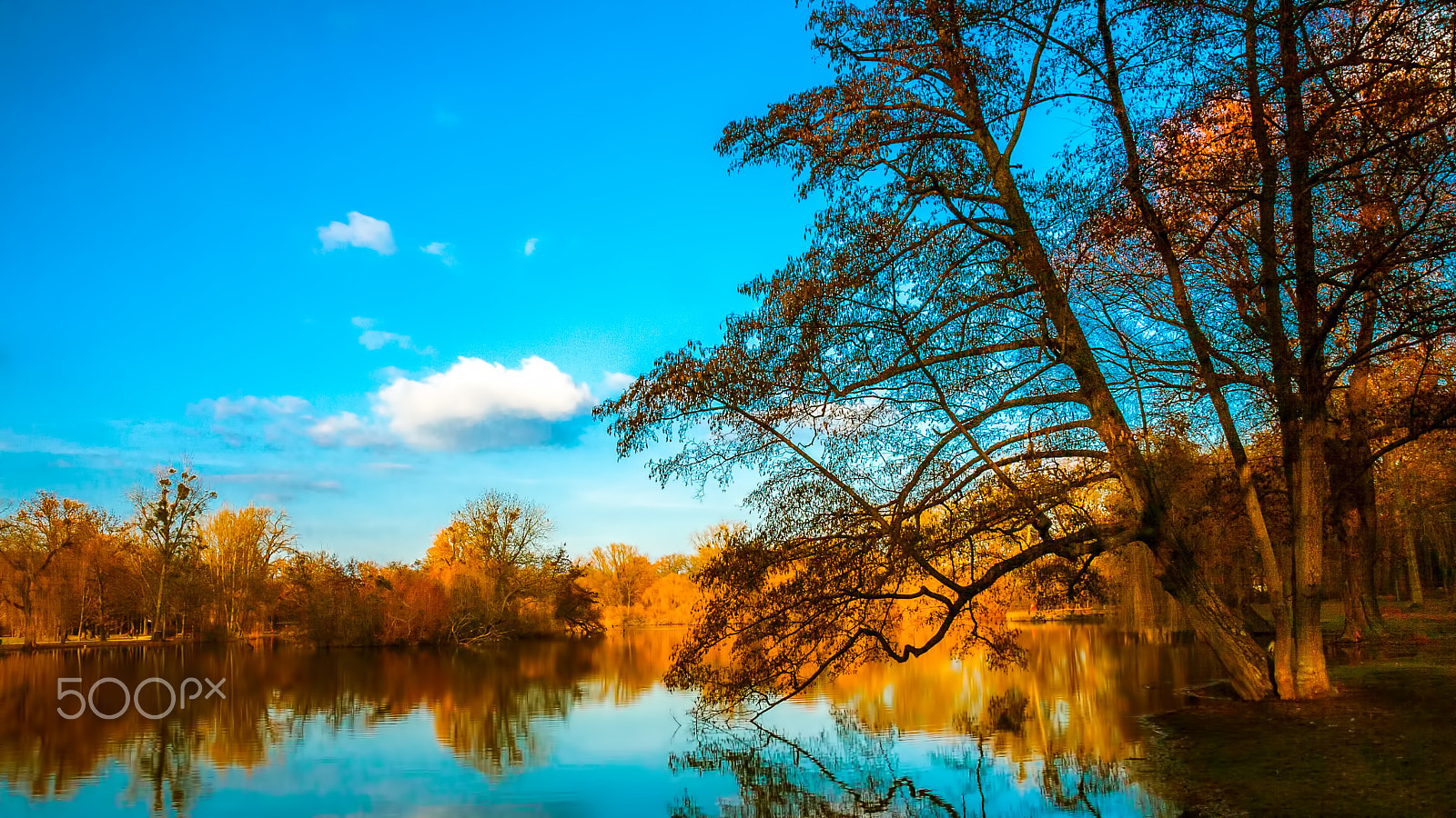 Canon EOS 30D + Canon EF-S 17-55mm F2.8 IS USM sample photo. Autumn - golden pond photography