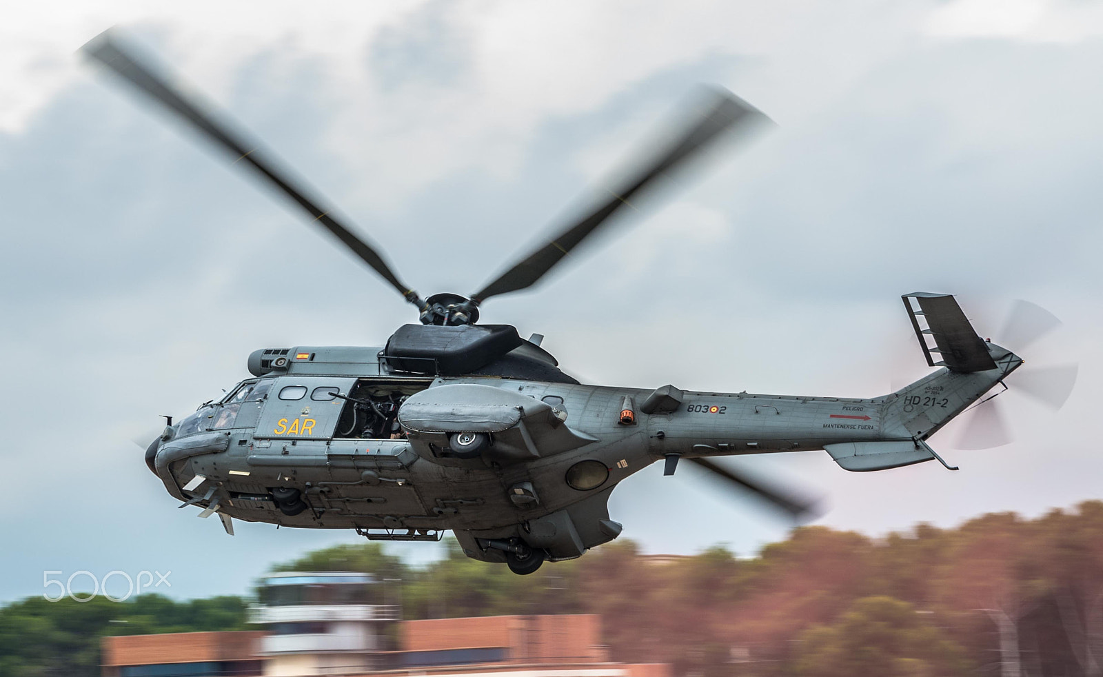 Sigma 120-400mm F4.5-5.6 DG OS HSM sample photo. Super puma photography