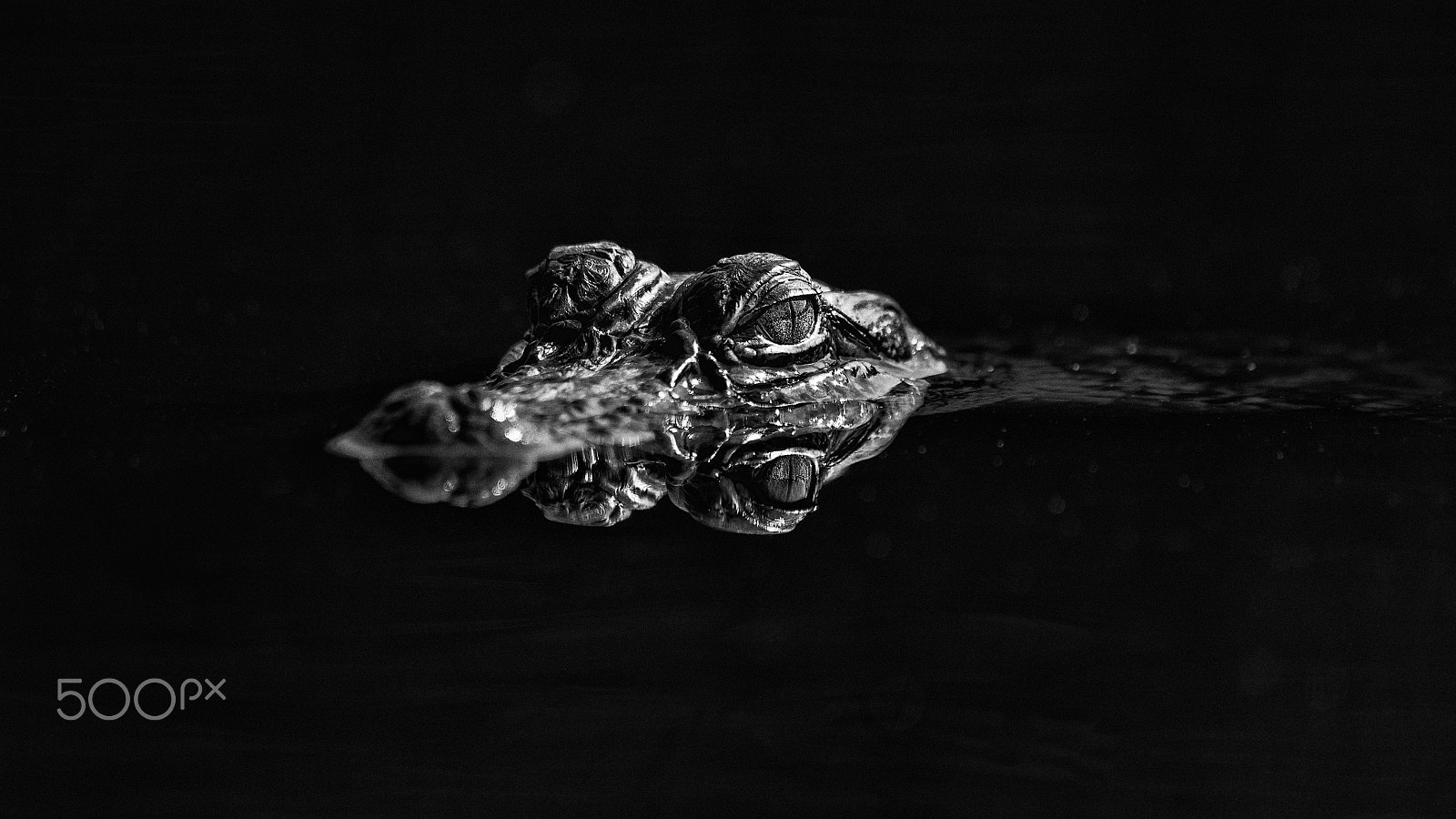 Olympus OM-D E-M5 sample photo. Death watches photography