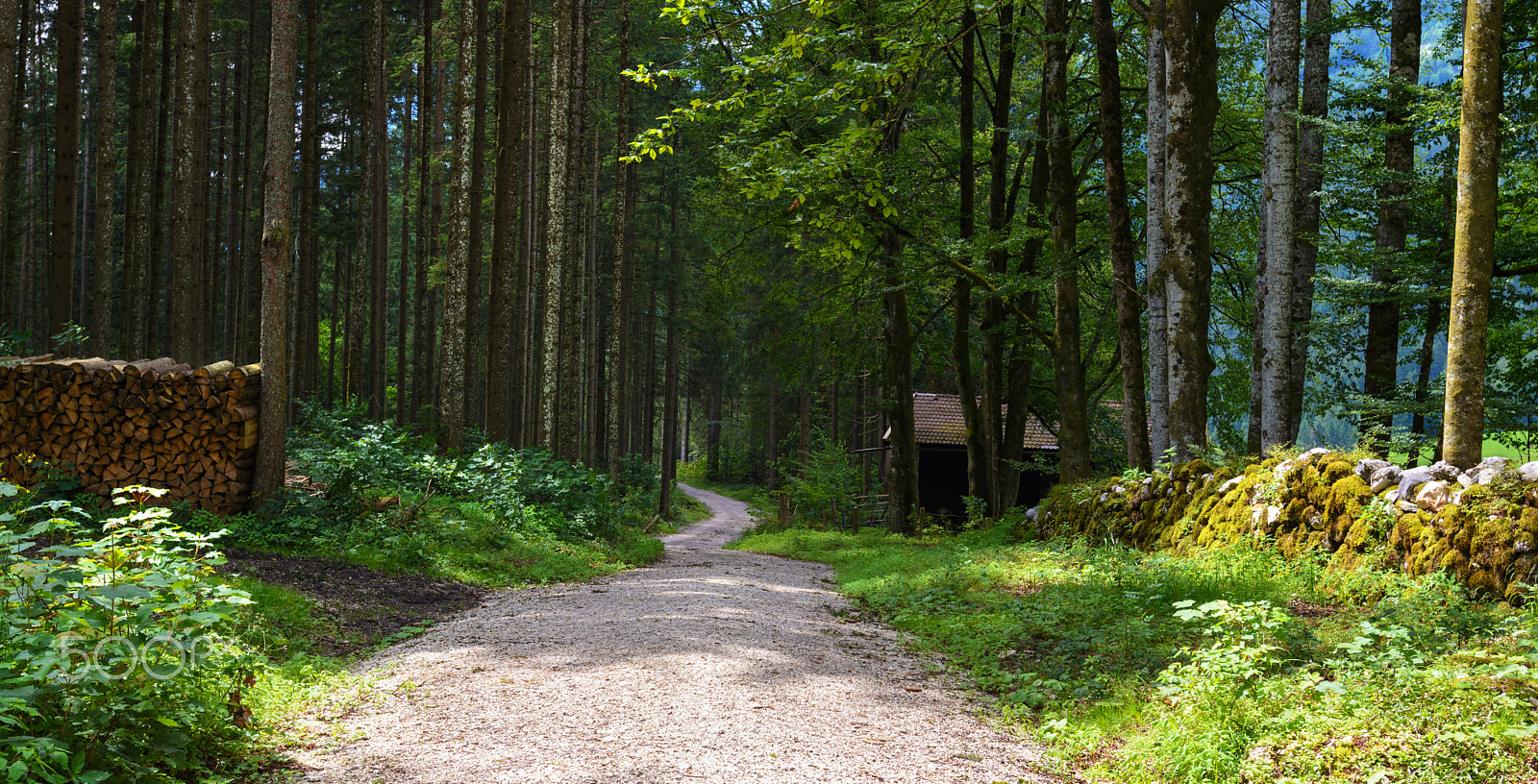 Nikon AF-S Nikkor 17-35mm F2.8D ED-IF sample photo. Alpine path photography