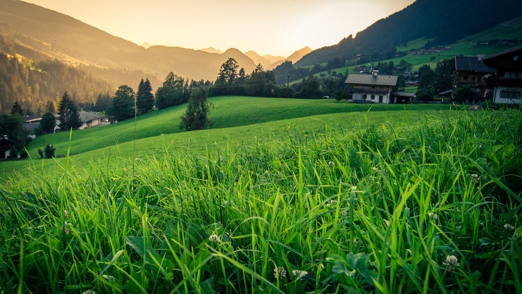 Canon EF 14mm F2.8L II USM sample photo. Misty mountains photography