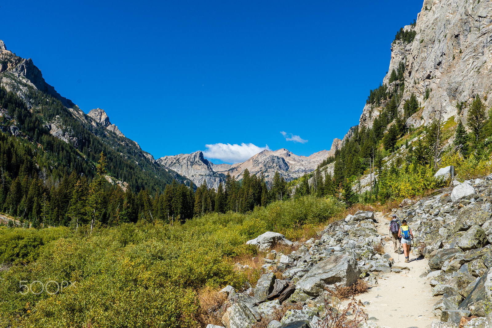Sony ILCA-77M2 sample photo. Freedom of the mountains photography