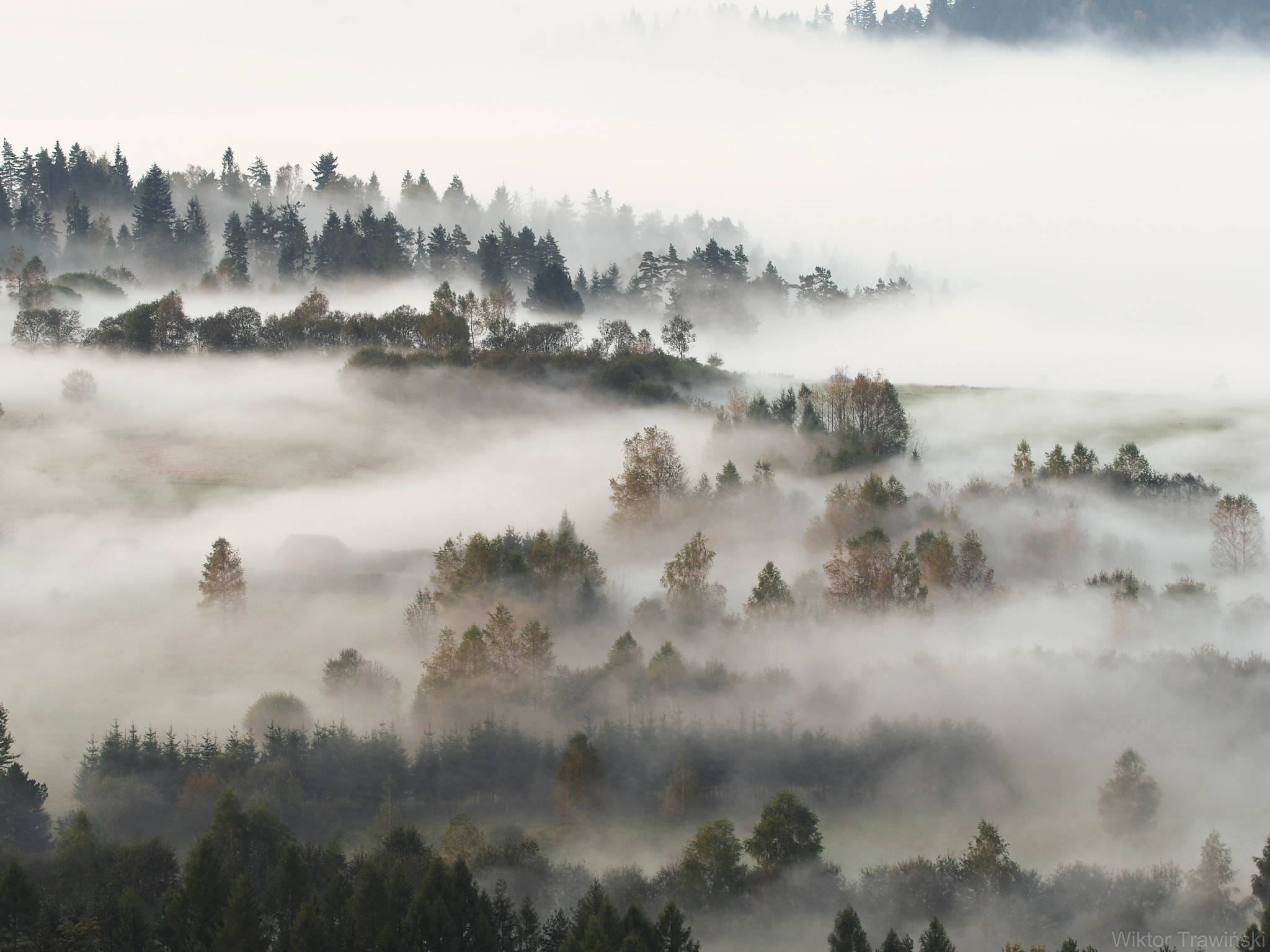 Olympus OM-D E-M5 II + Olympus M.Zuiko Digital ED 40-150mm F2.8 Pro sample photo. Morning in poland #2 photography