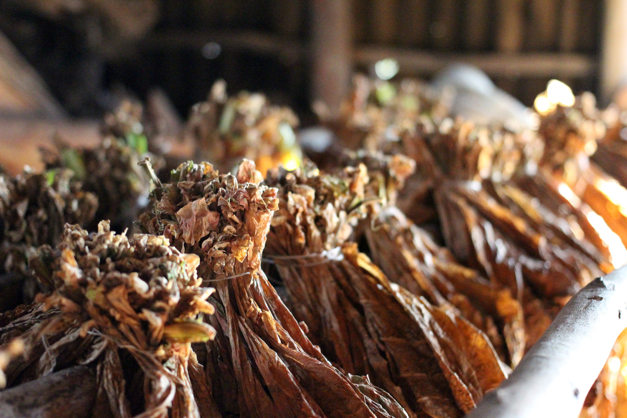 Canon EF 40mm F2.8 STM sample photo. Cuba photography