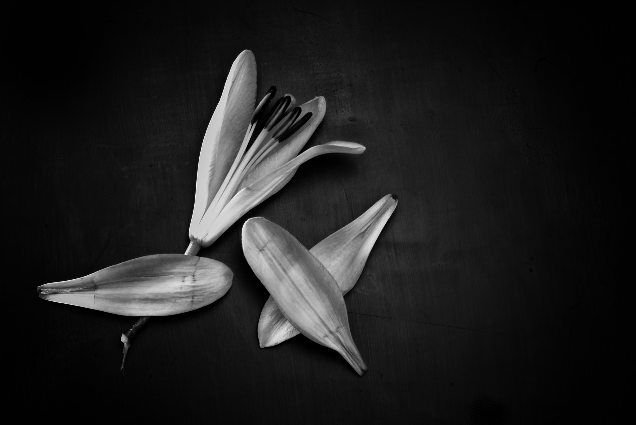 Summilux-M 1:1.4/50 sample photo. Deconstructed photography
