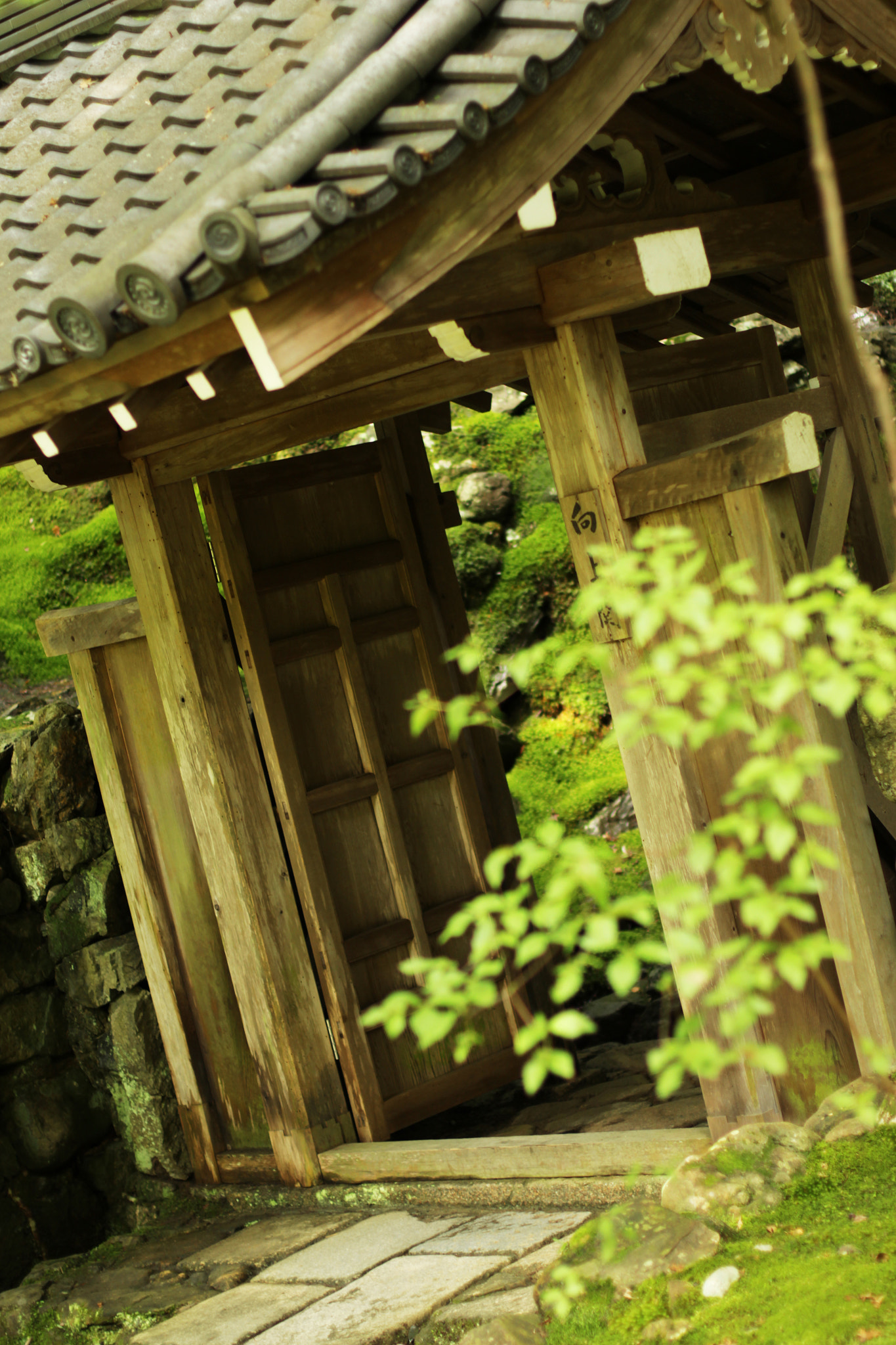 Canon EOS 700D (EOS Rebel T5i / EOS Kiss X7i) + Canon EF 50mm F1.4 USM sample photo. Kokedera temple kyoto photography