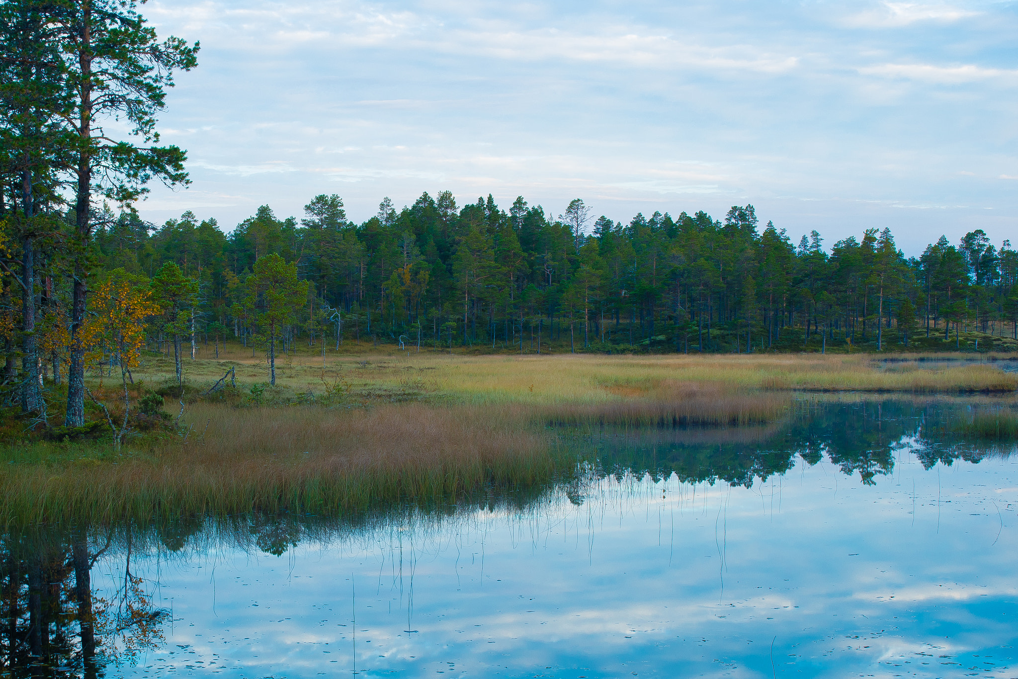 Sigma 35mm F1.4 DG HSM Art sample photo. A moment by silent water photography